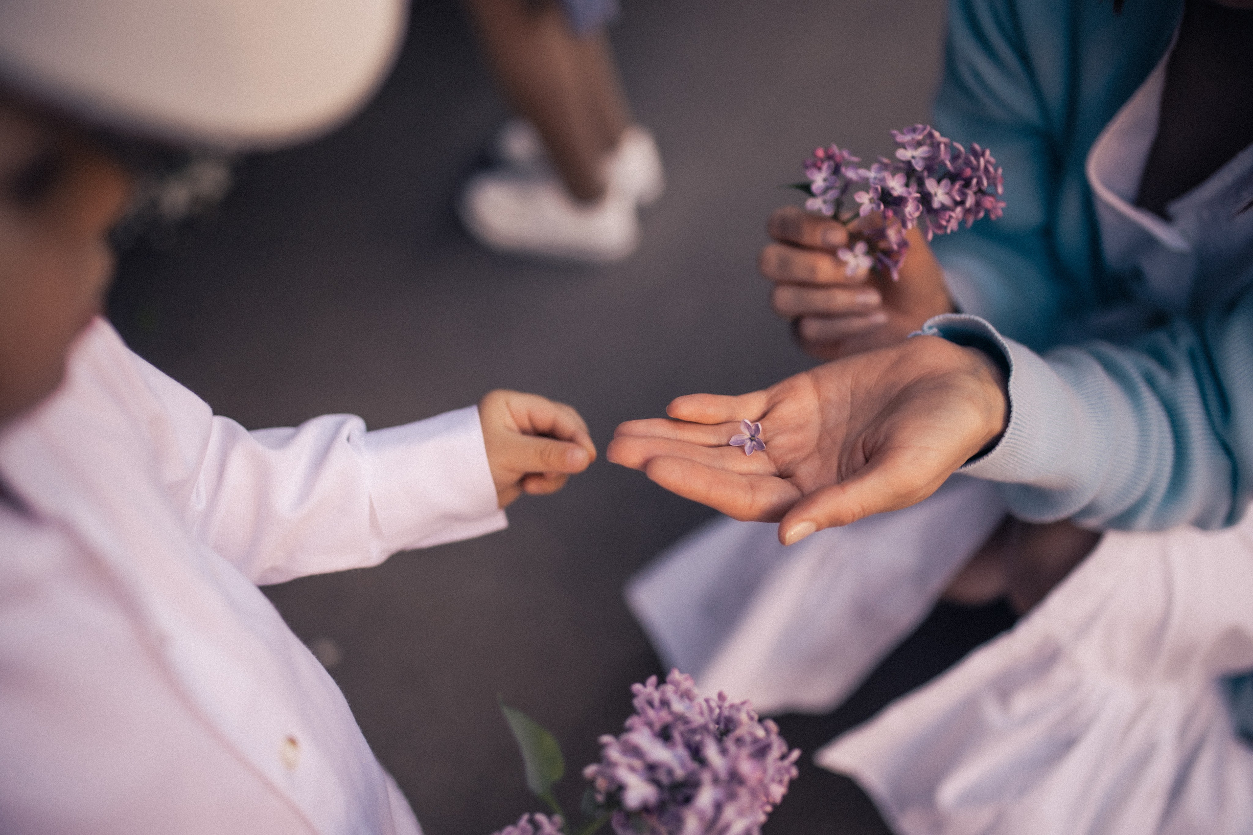 Маша с семьей. Фотограф в Москве Наталья Спиридонова