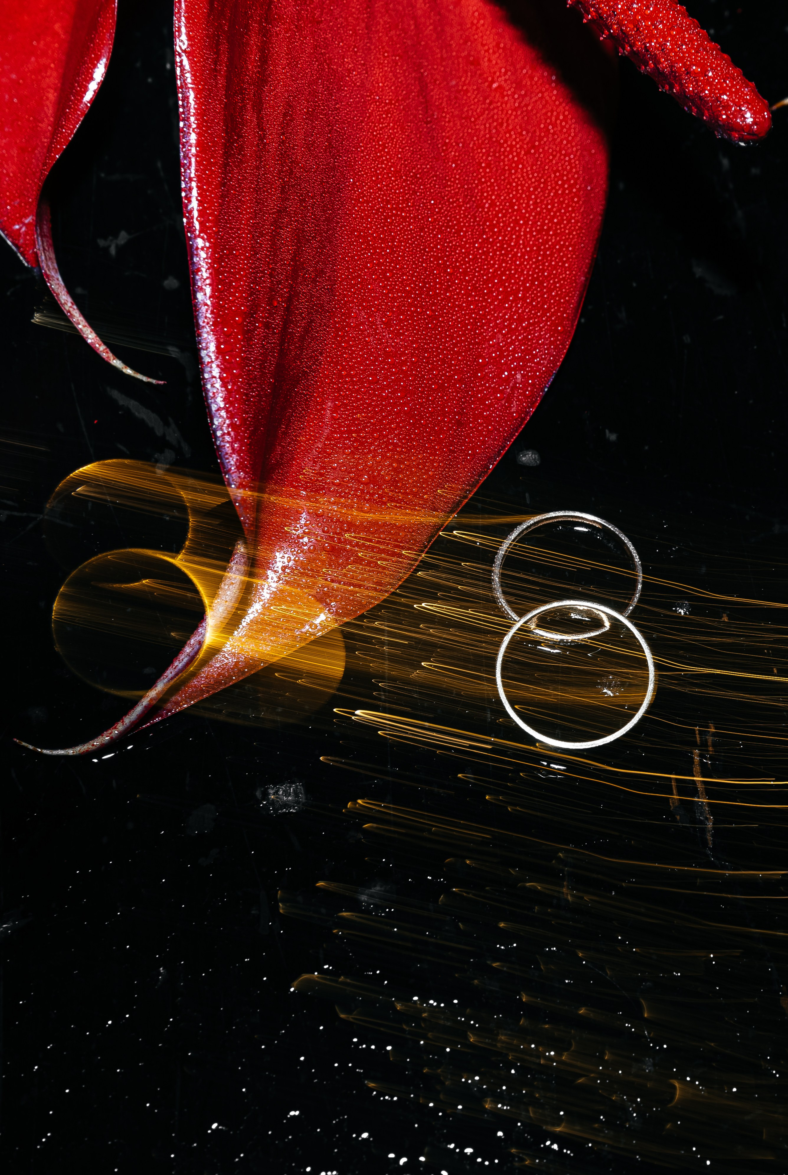 Арина и Костя. Главная