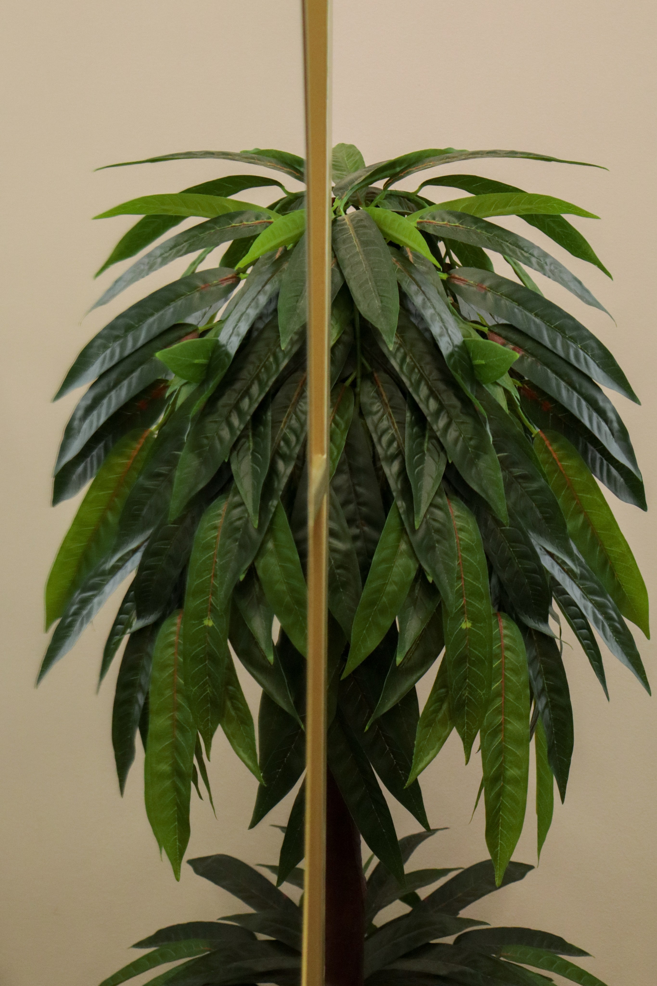 Бьюти. Фотограф | Контент и Визуал | Краснодар