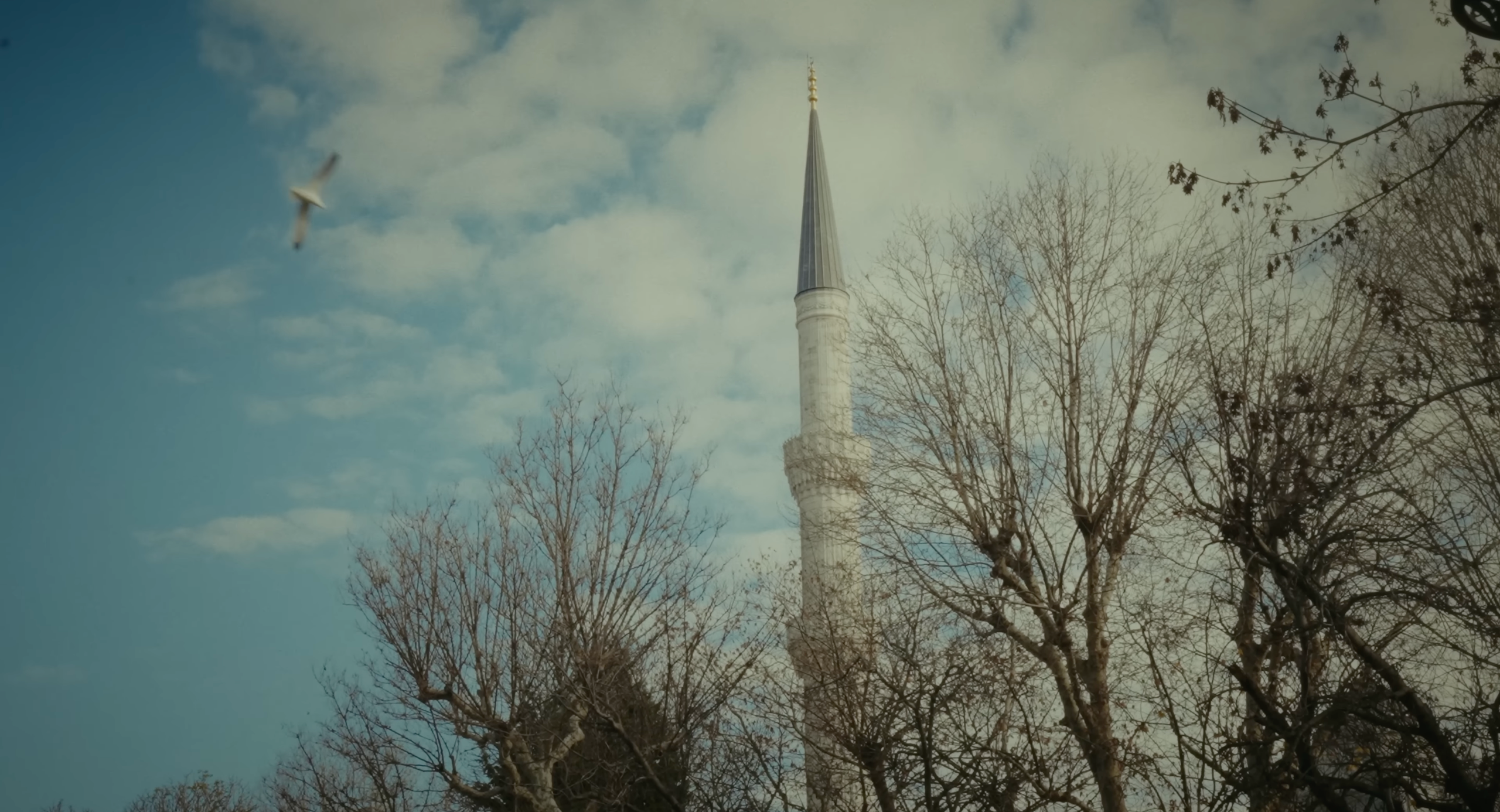 My transformation or how I became homeless in the USA. Tokcolor