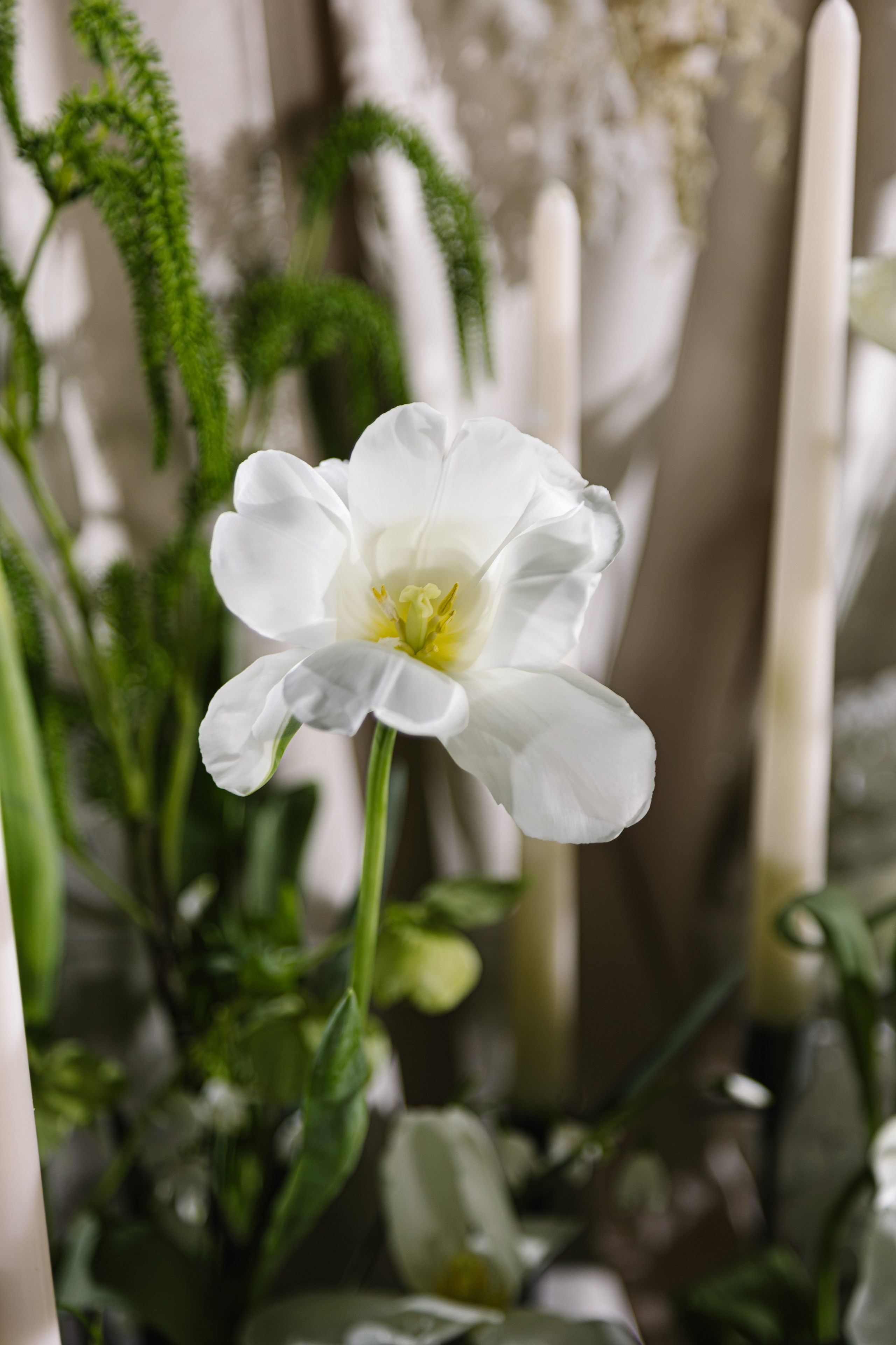 Свадьба Евгения и Анны. Артур Иликчян — Wedding & Event фотограф в Краснодаре