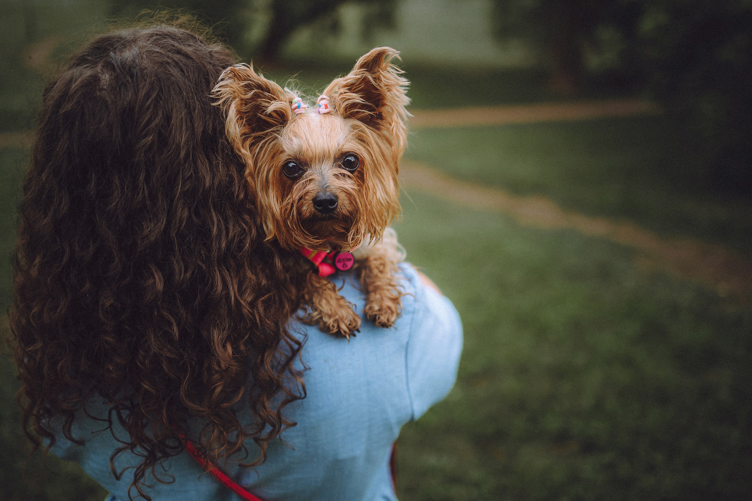 Даша и Дэзи