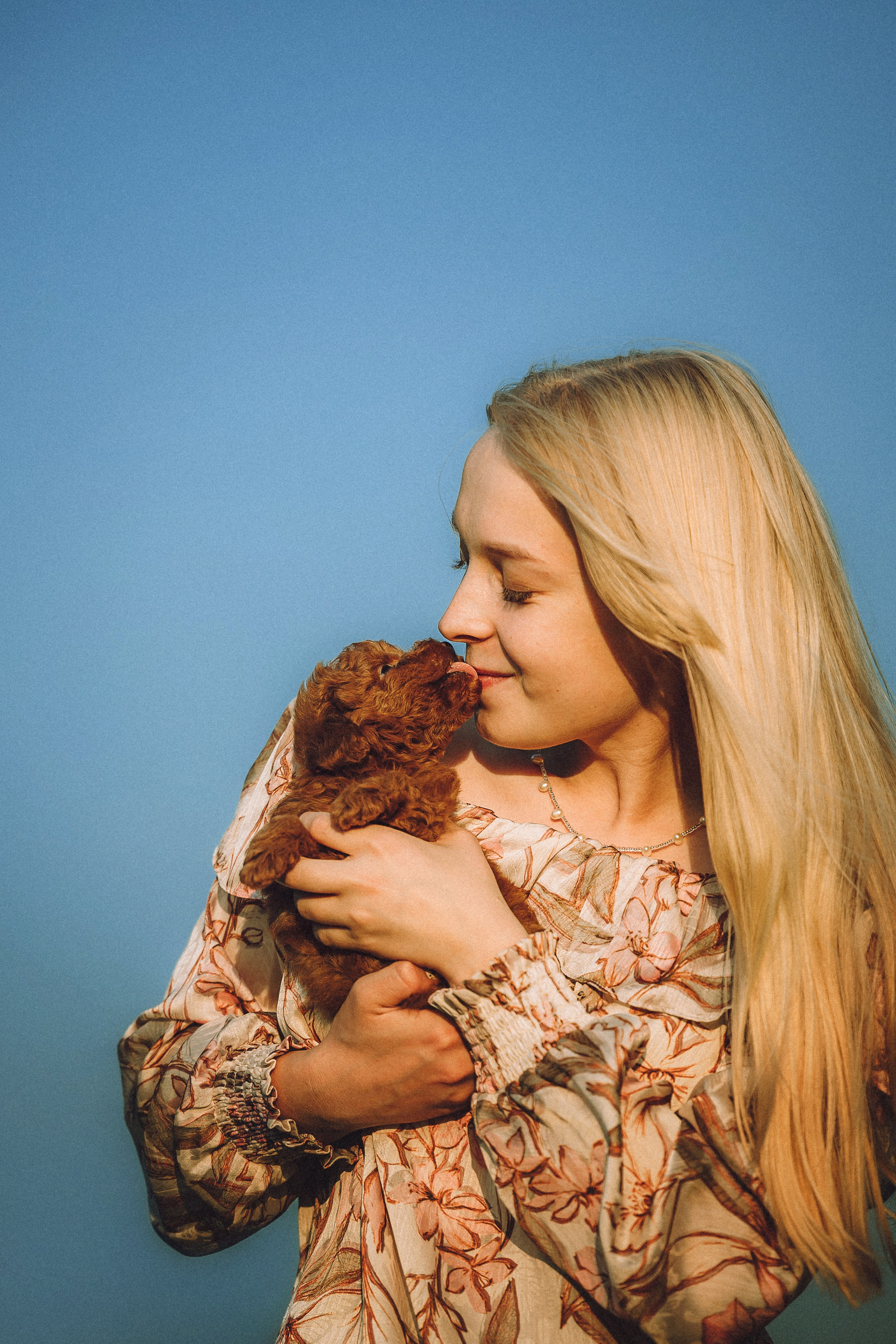 Гречка, Кари и щенки