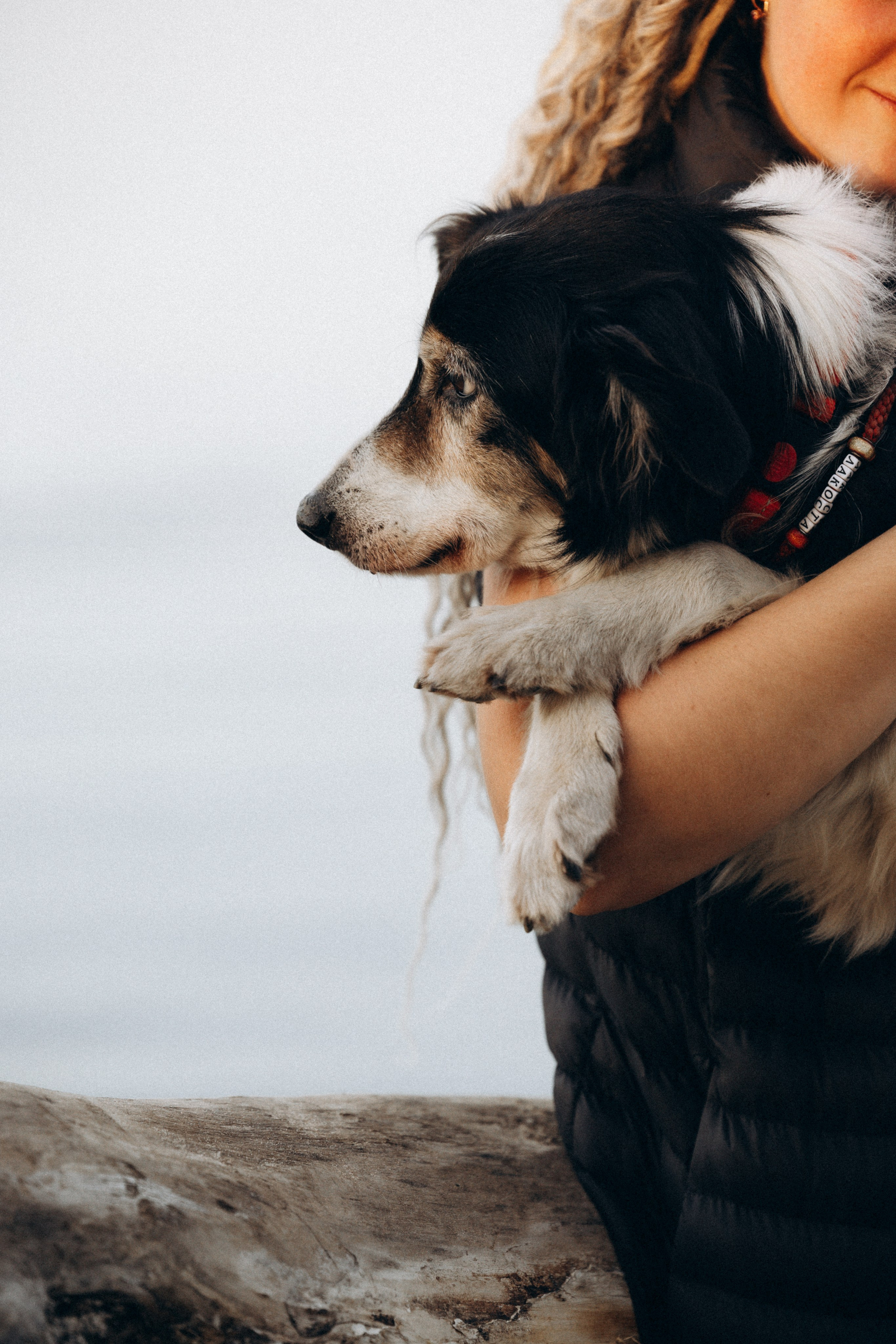 Алла и ее компания. Фотограф анималист в Казани Алина Сулейманова. Фотограф животных