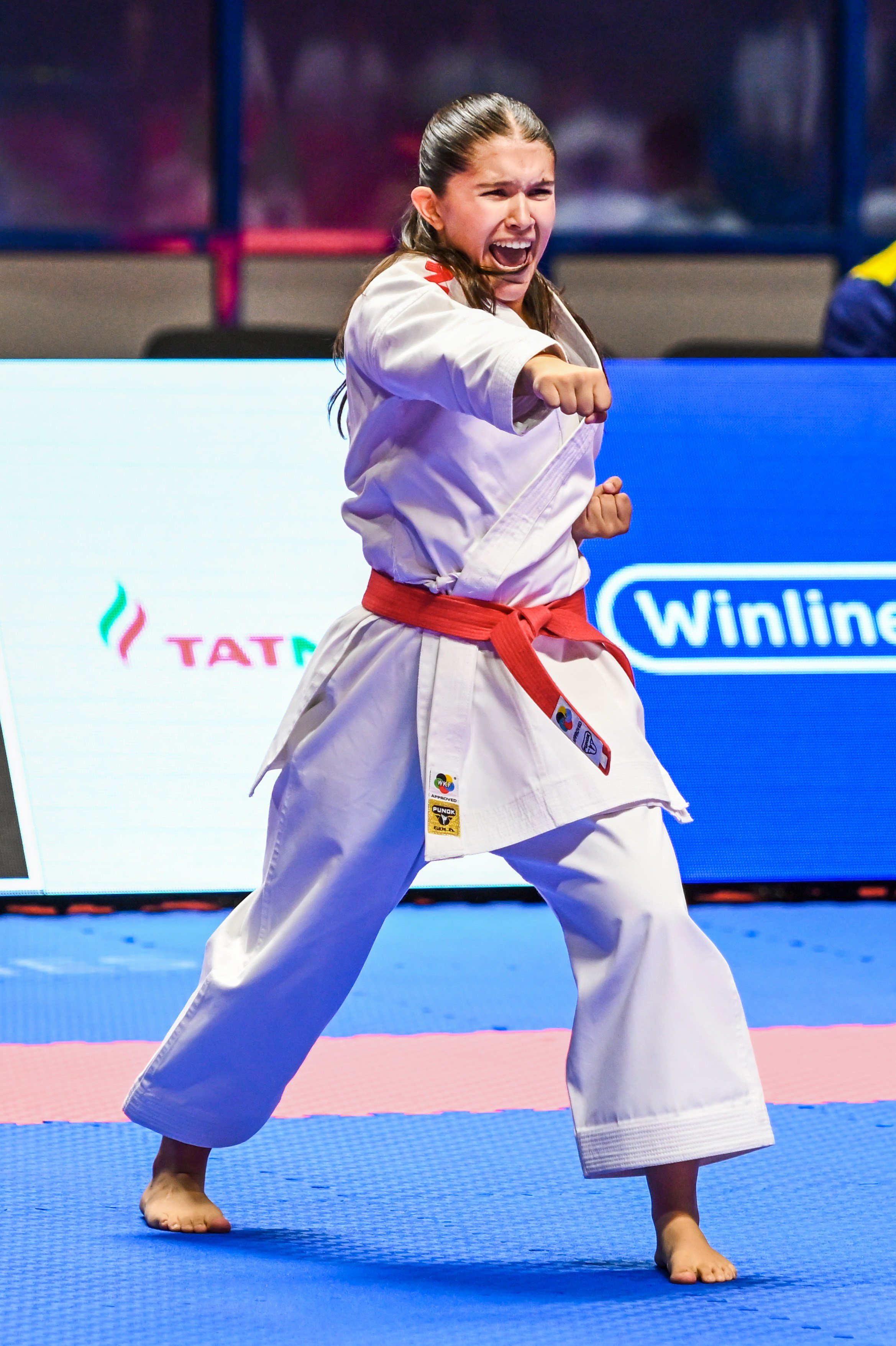 Каратэ «Спортивные игры стран БРИКС». Спортивный и репортажный фотограф в Казани Вячеслав Сатонин