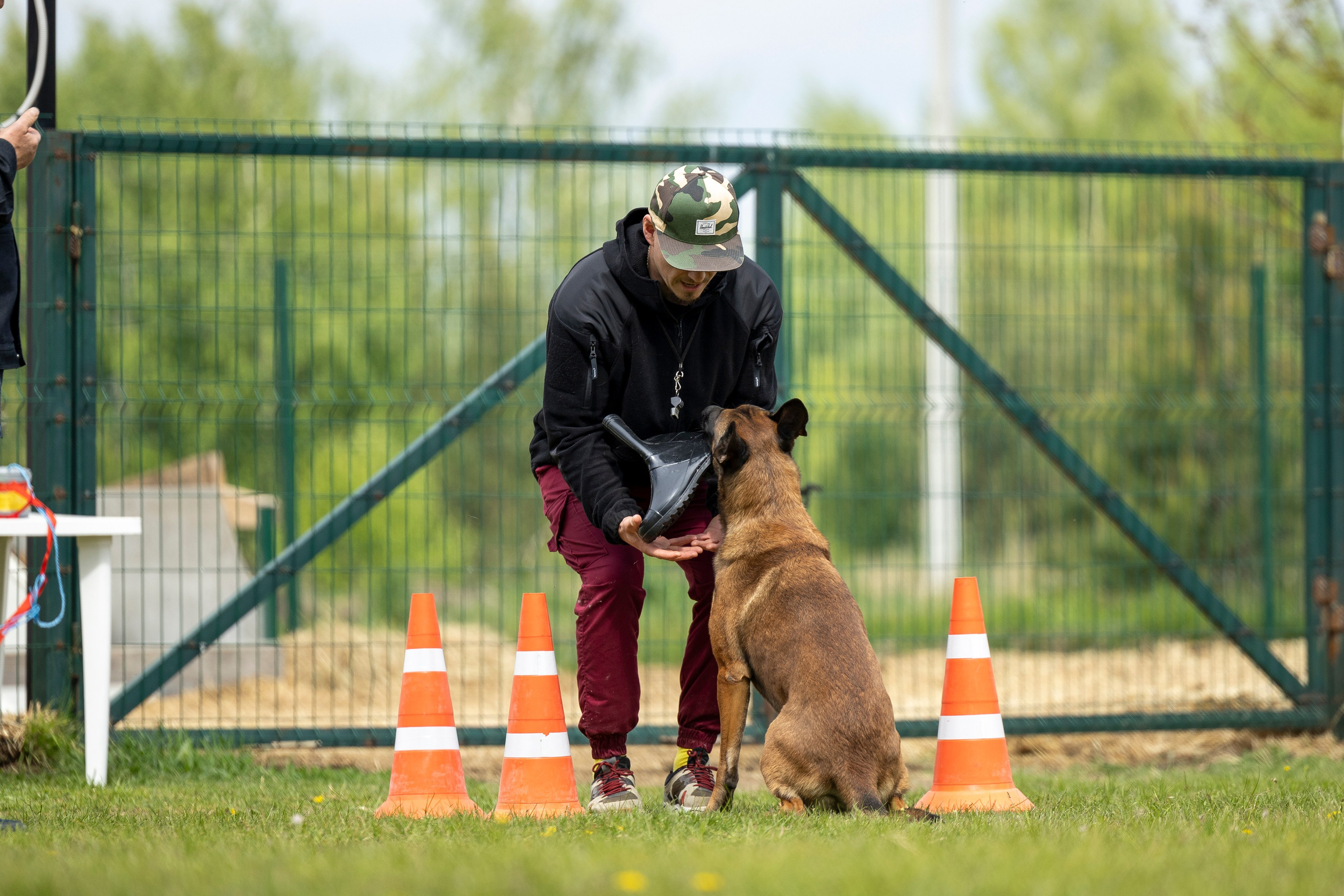Испытания по мондьорингу в Нижнем Новгороде. Фотограф-анималист Анна Маринич