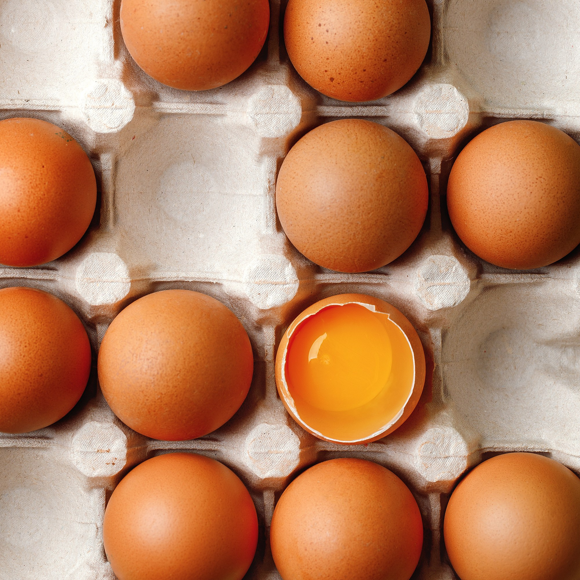 «Волжанин»