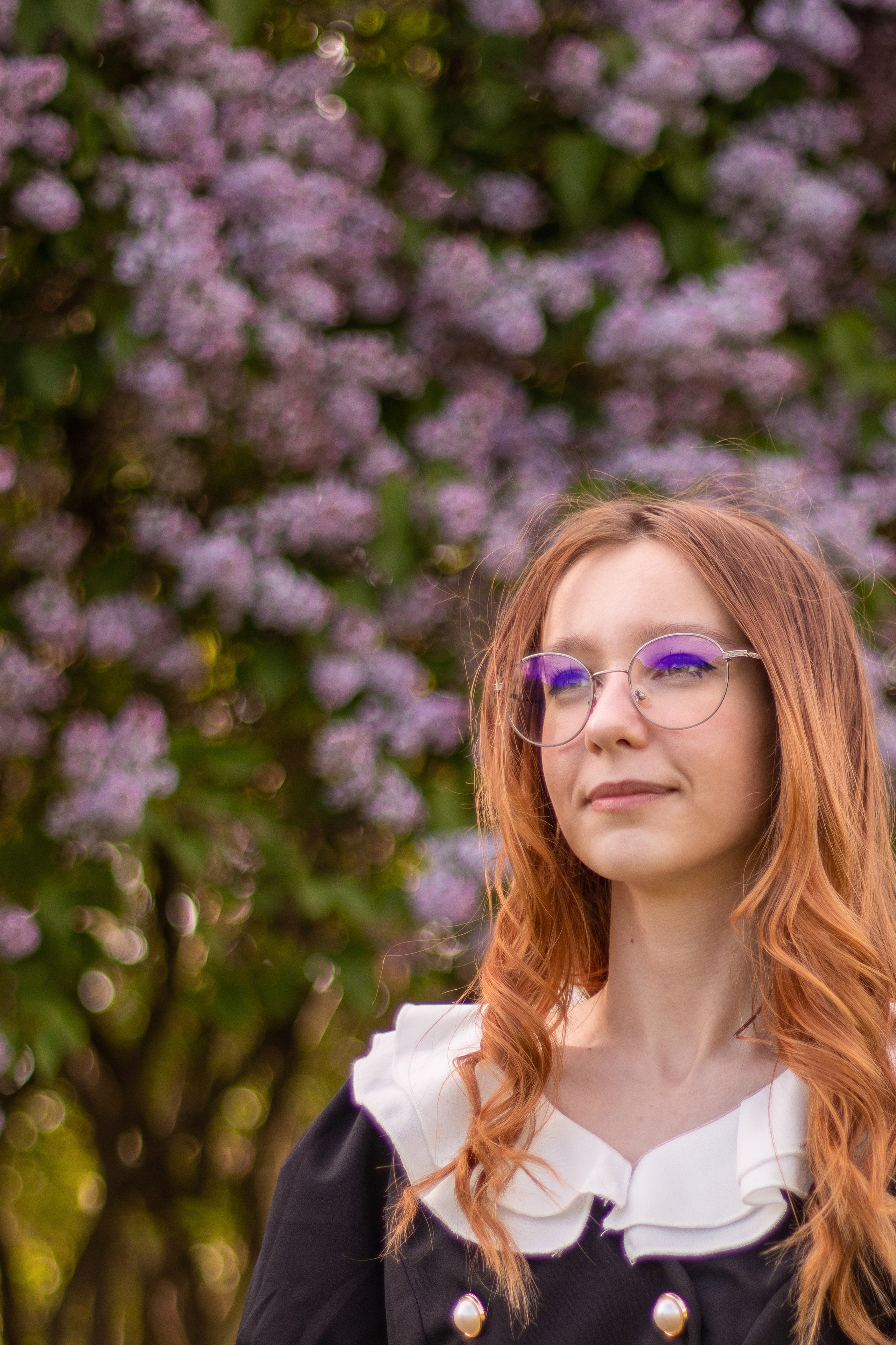 Цветение сирени, Санкт-Петербург 2022. Фотограф NotSilver