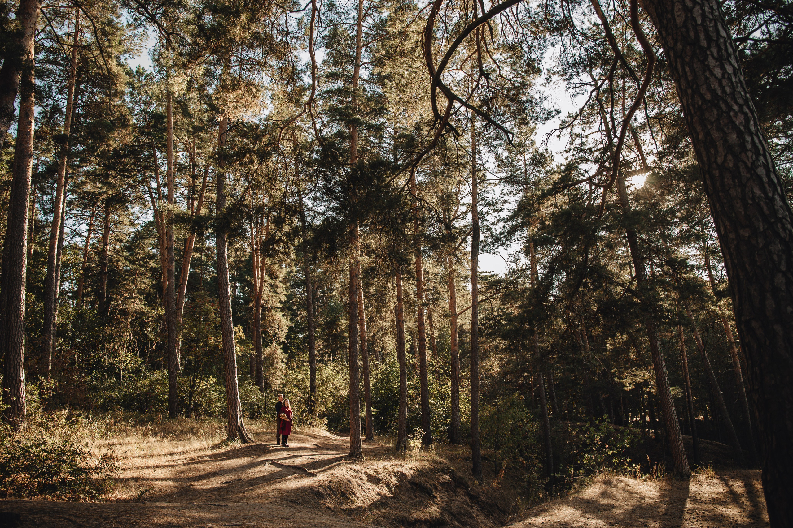 Саша и Вика. Лес. Свадебный и семейный фотограф Пушкин Царское Село СПБ Питер Санкт-Петербург и Рязань Ольга Козлова
