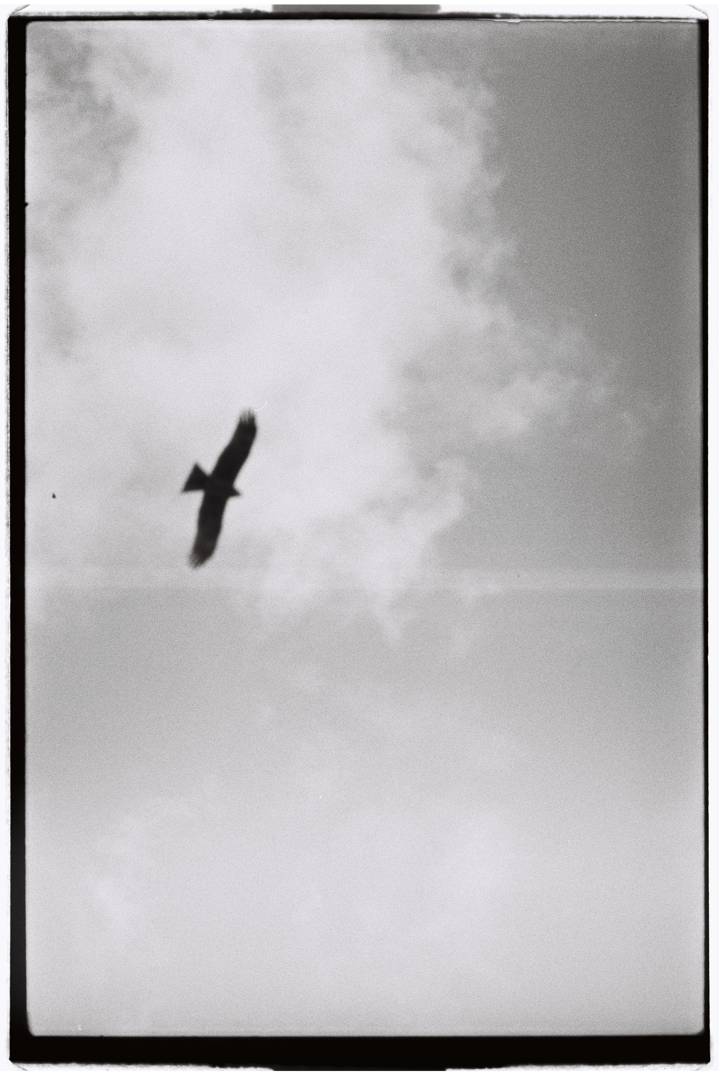 Пленочная фотография. ТАТИ | Татьяна Тихонова | фотограф | Тольятти Самара