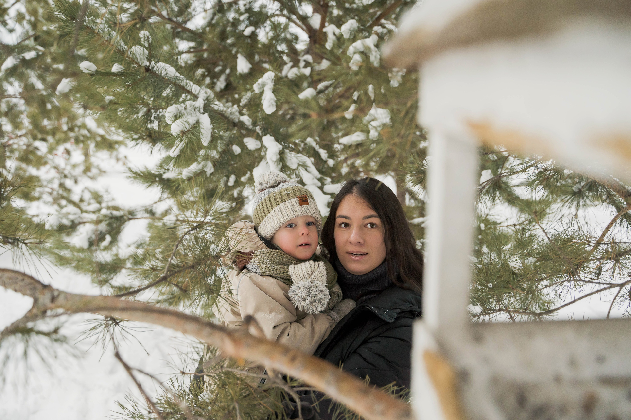 Зимняя прогулка. Главная