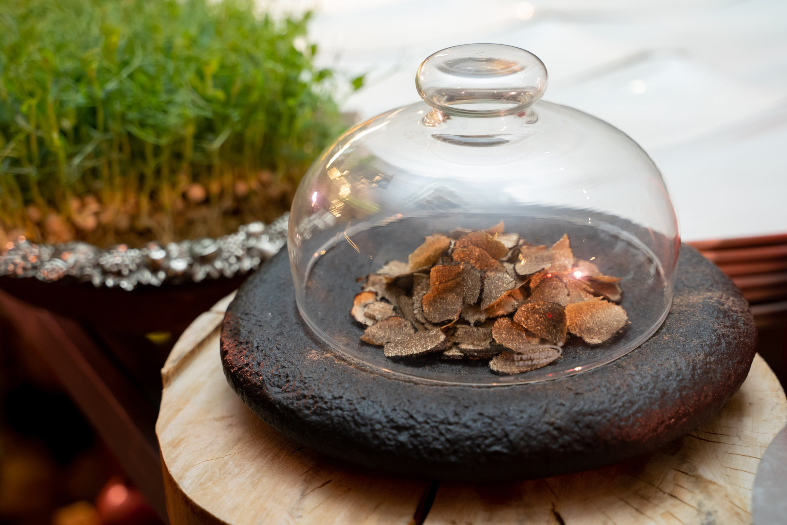 Репортаж «Битва шефов». Главная