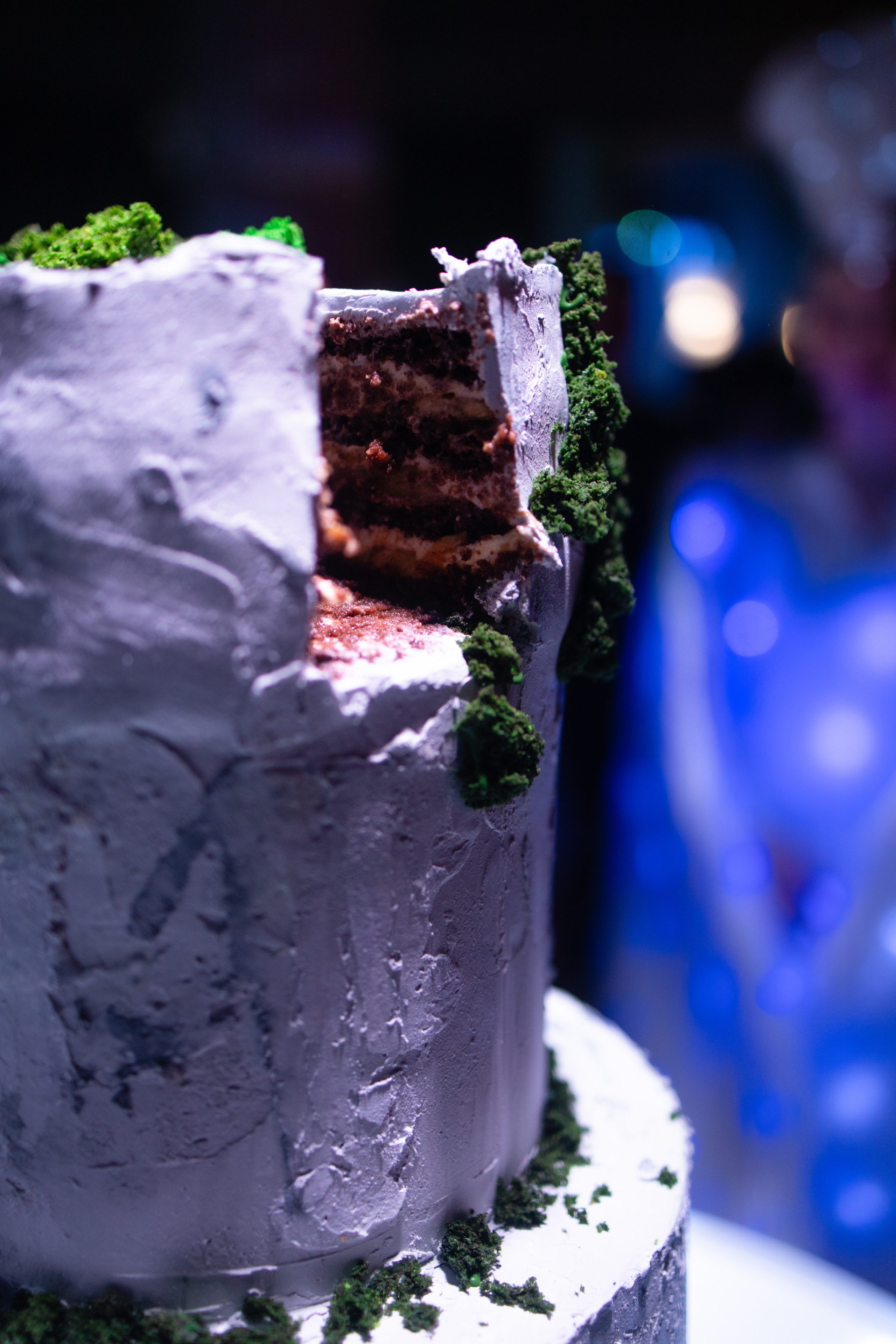 Фотограф на тимбилдинг