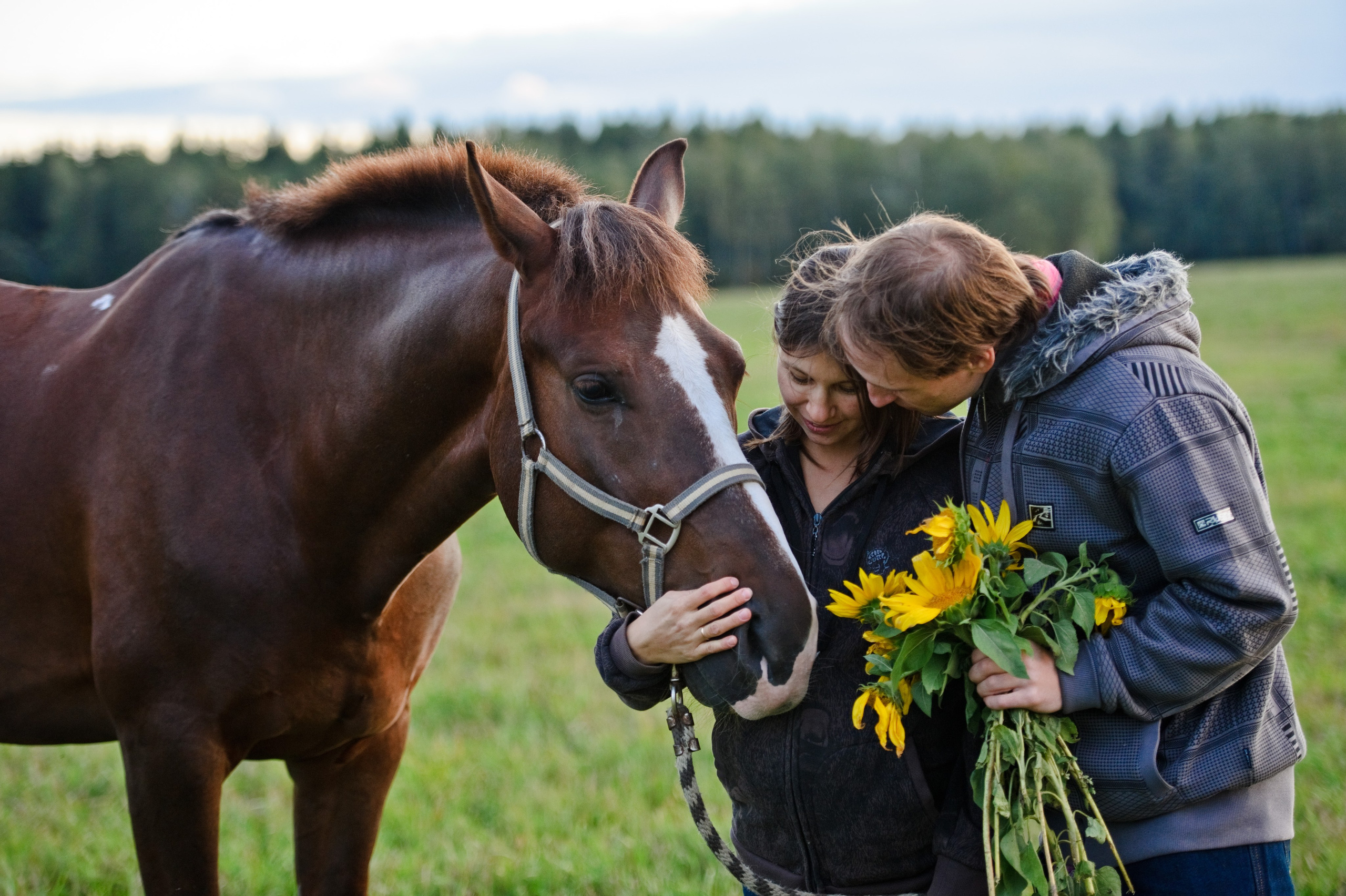 Татьяна и Алексей. В ожидании малыша. Семейный фотограф Анна Дубовская