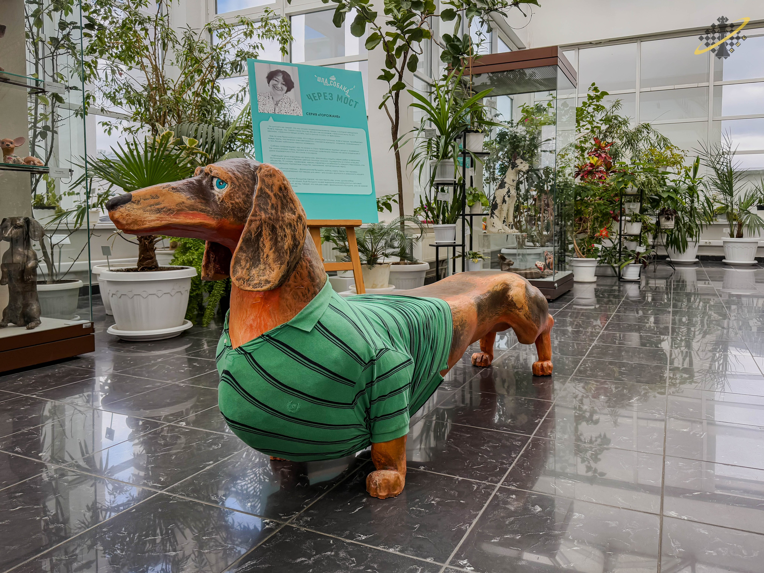 Москва | Музей Дарвина. Фотобаза ПШС