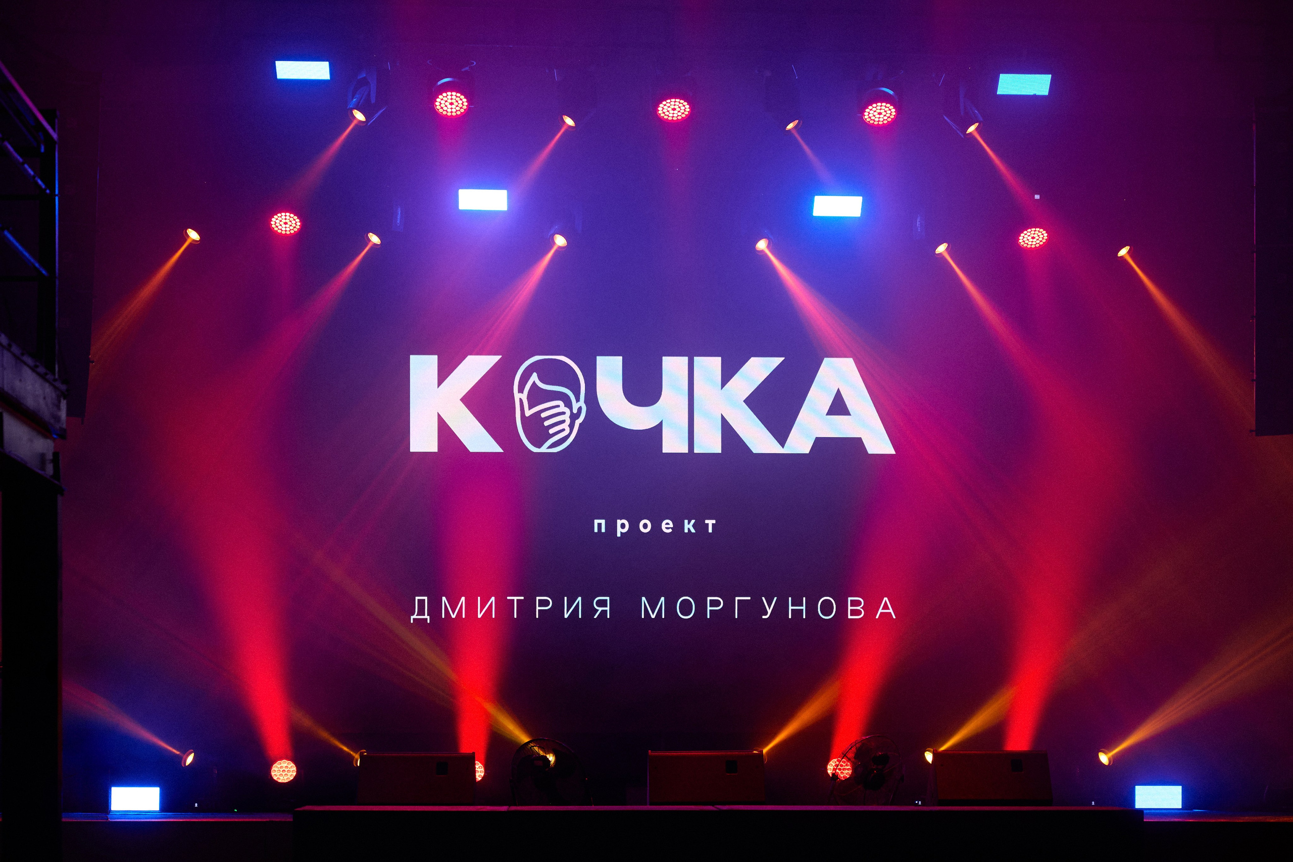 КОЧКА. Фотограф Айвазова Наталья Краснодар