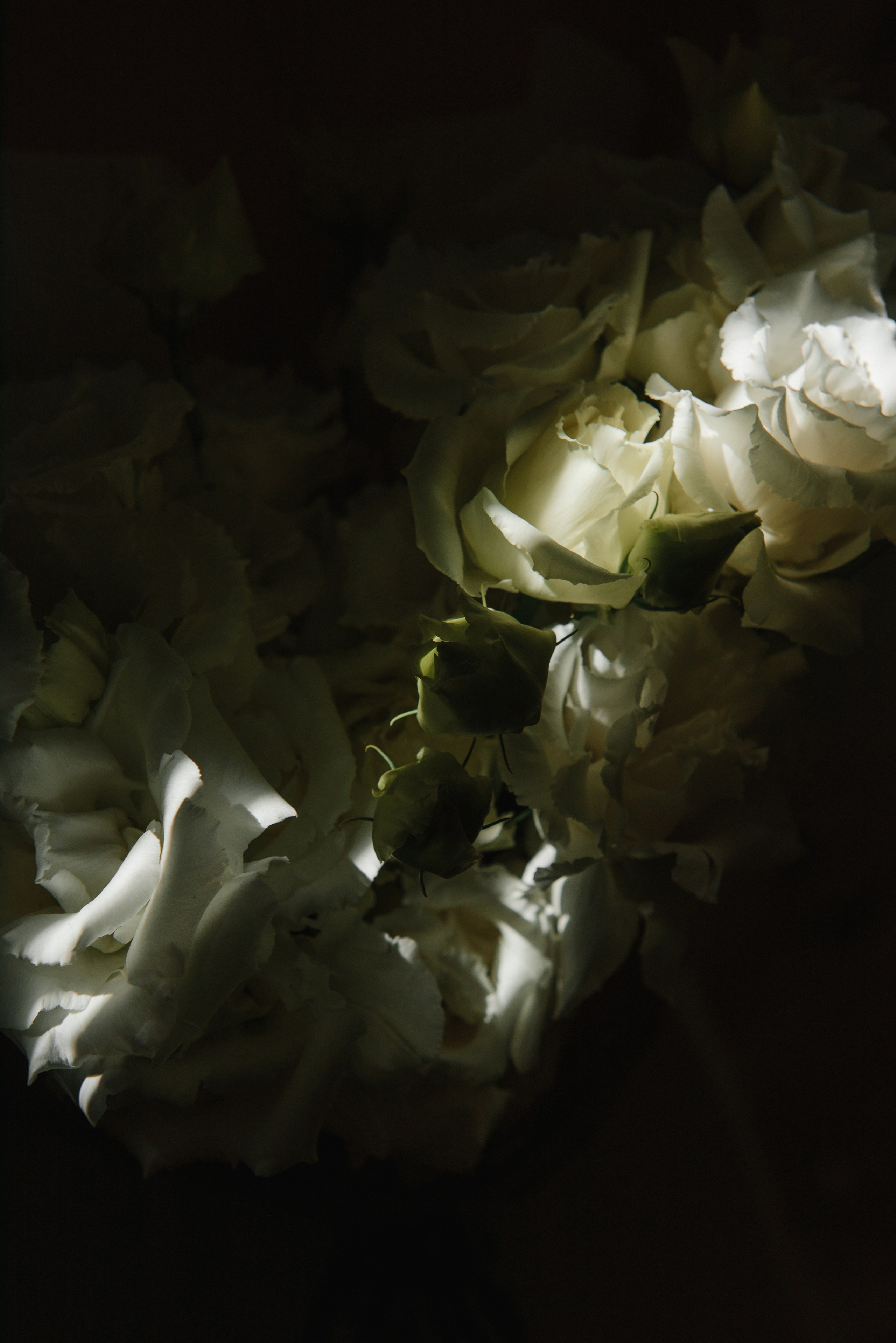 Нина и Владимир. Светлана Варфоломеева, женский и свадебный фотограф в Саратове