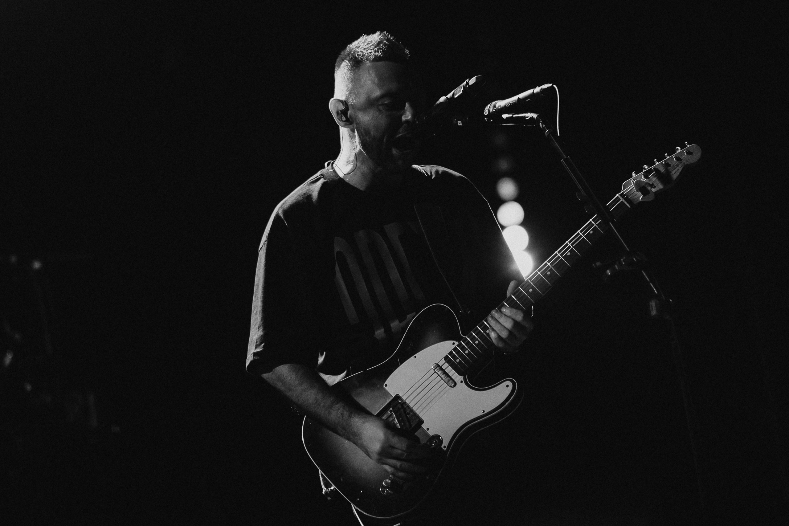 Звери 2025. Репортажный фотограф в Кемерово