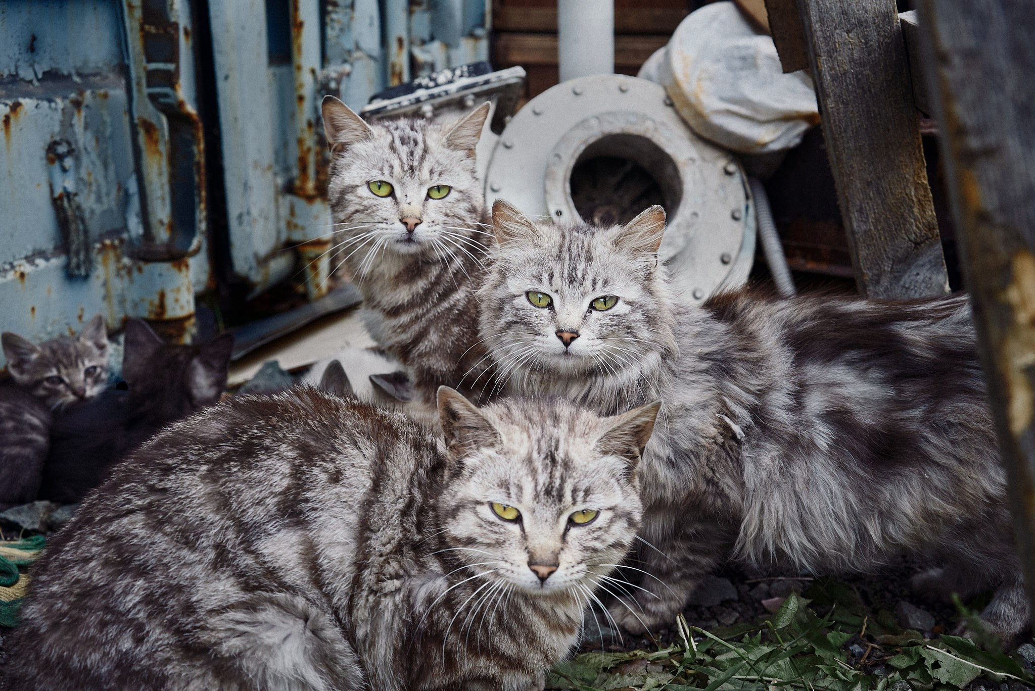 Места. Максим Завгаров