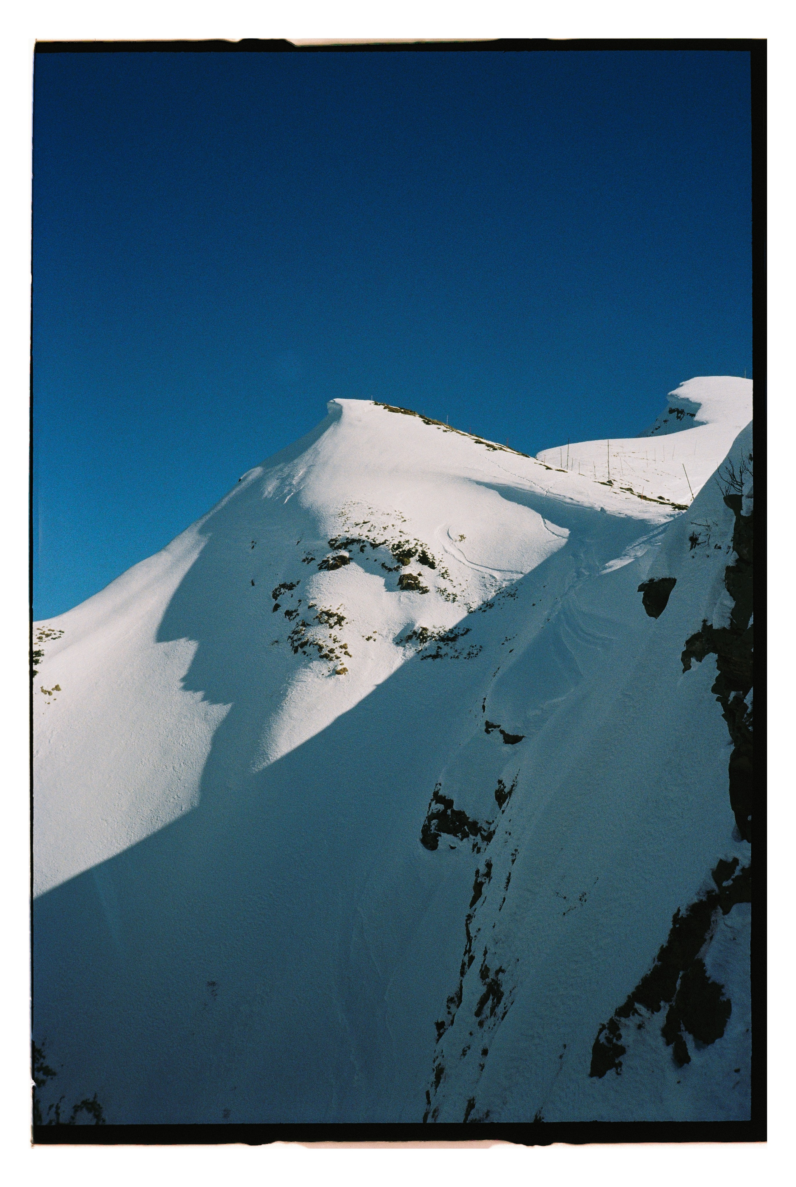 Пленка. Фотограф Андрей Куськало