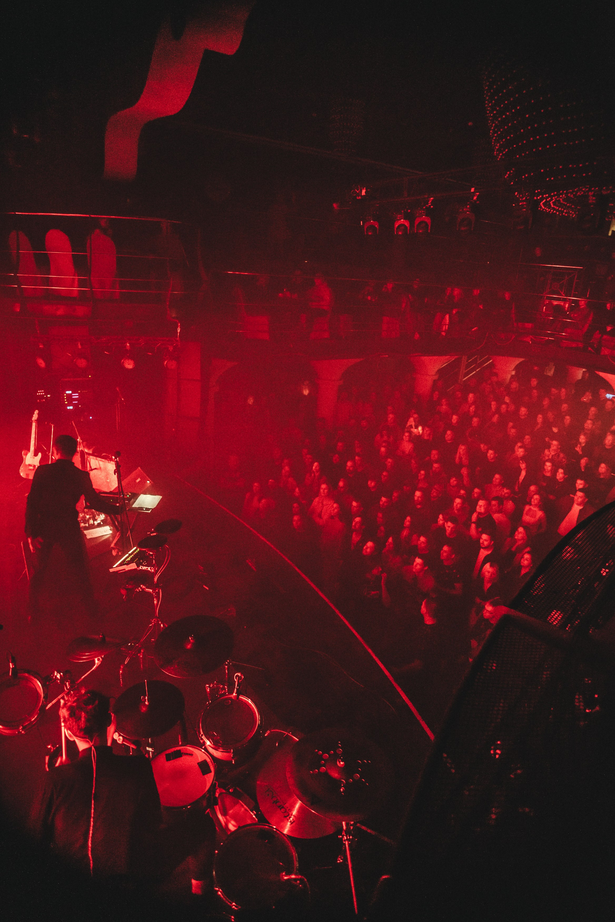 Дельфин | Gaudi. Контент фотограф Илья Урс