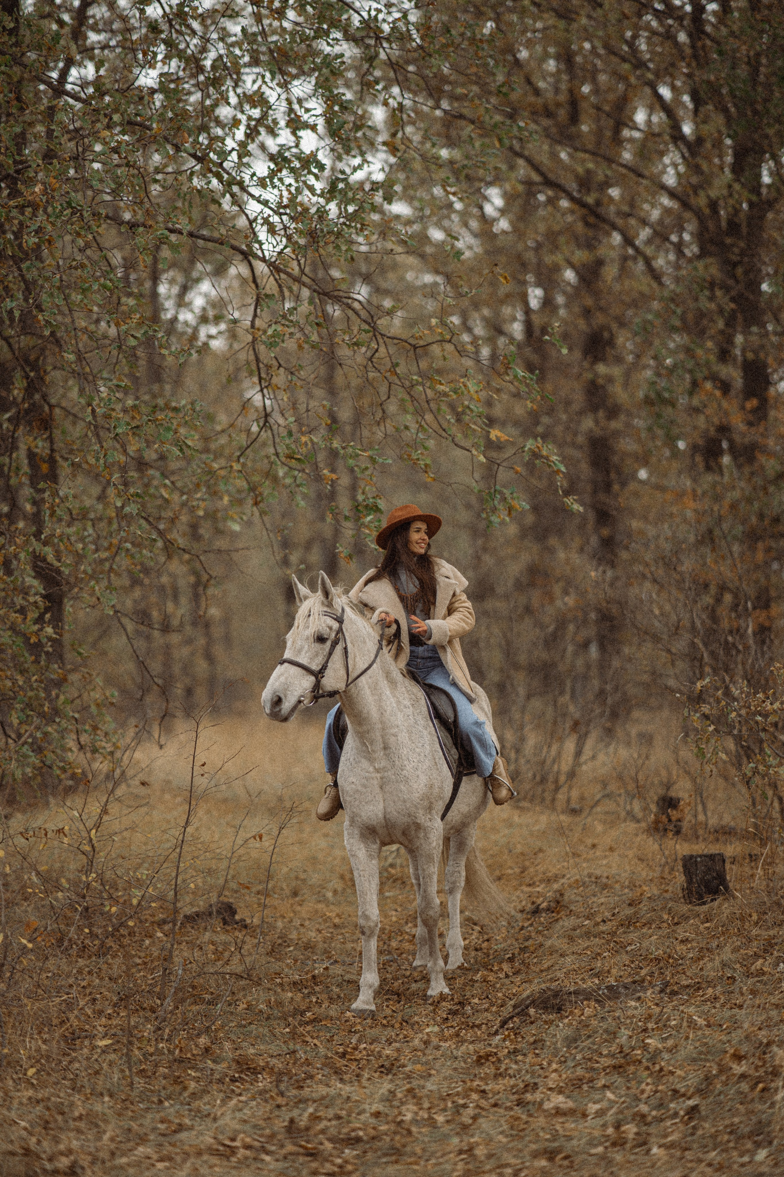 Конюшня. Фотограф Мария Зайчик
