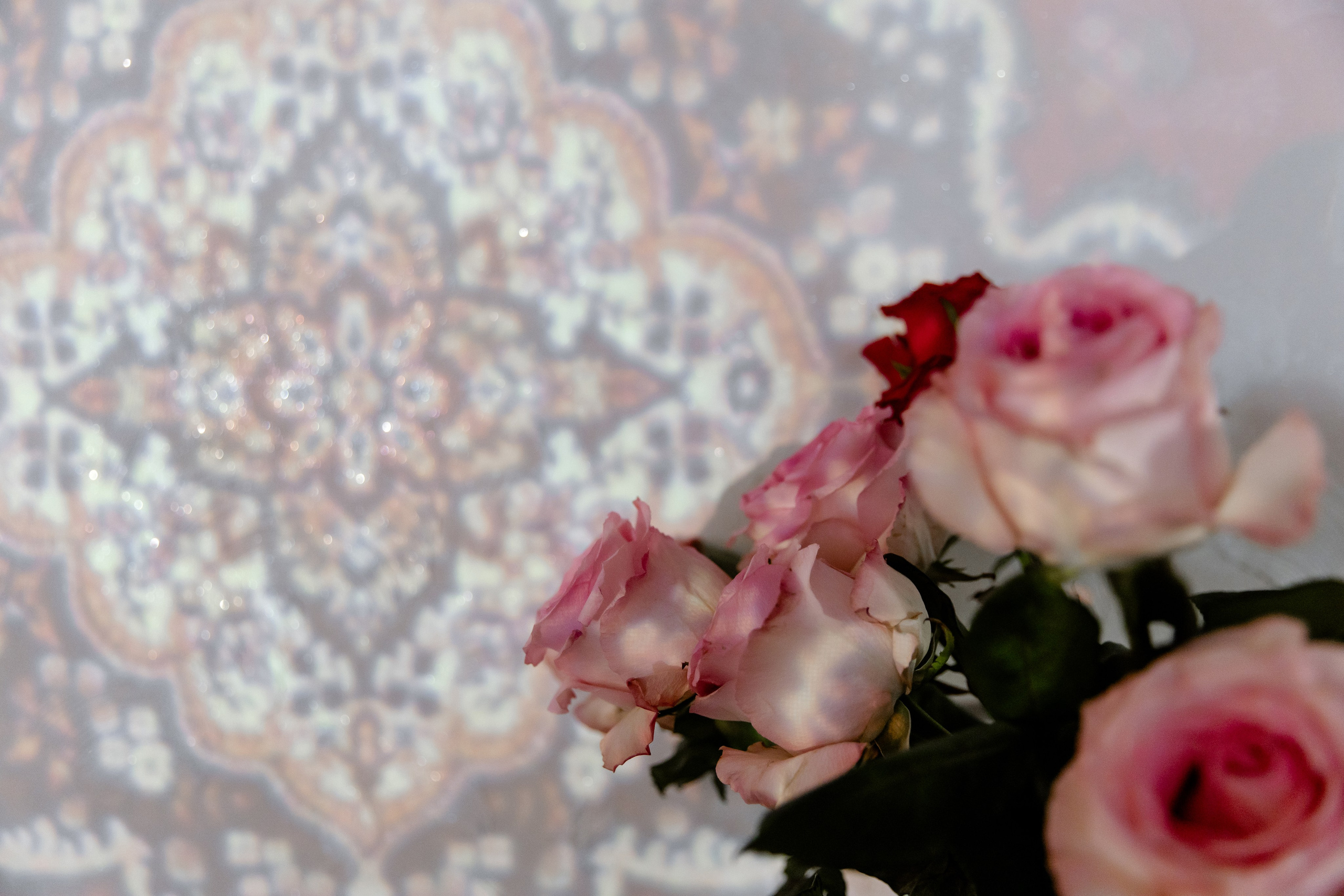 Свадебный день Никиты и Александры. Свадебный фотограф Анна Бабахина