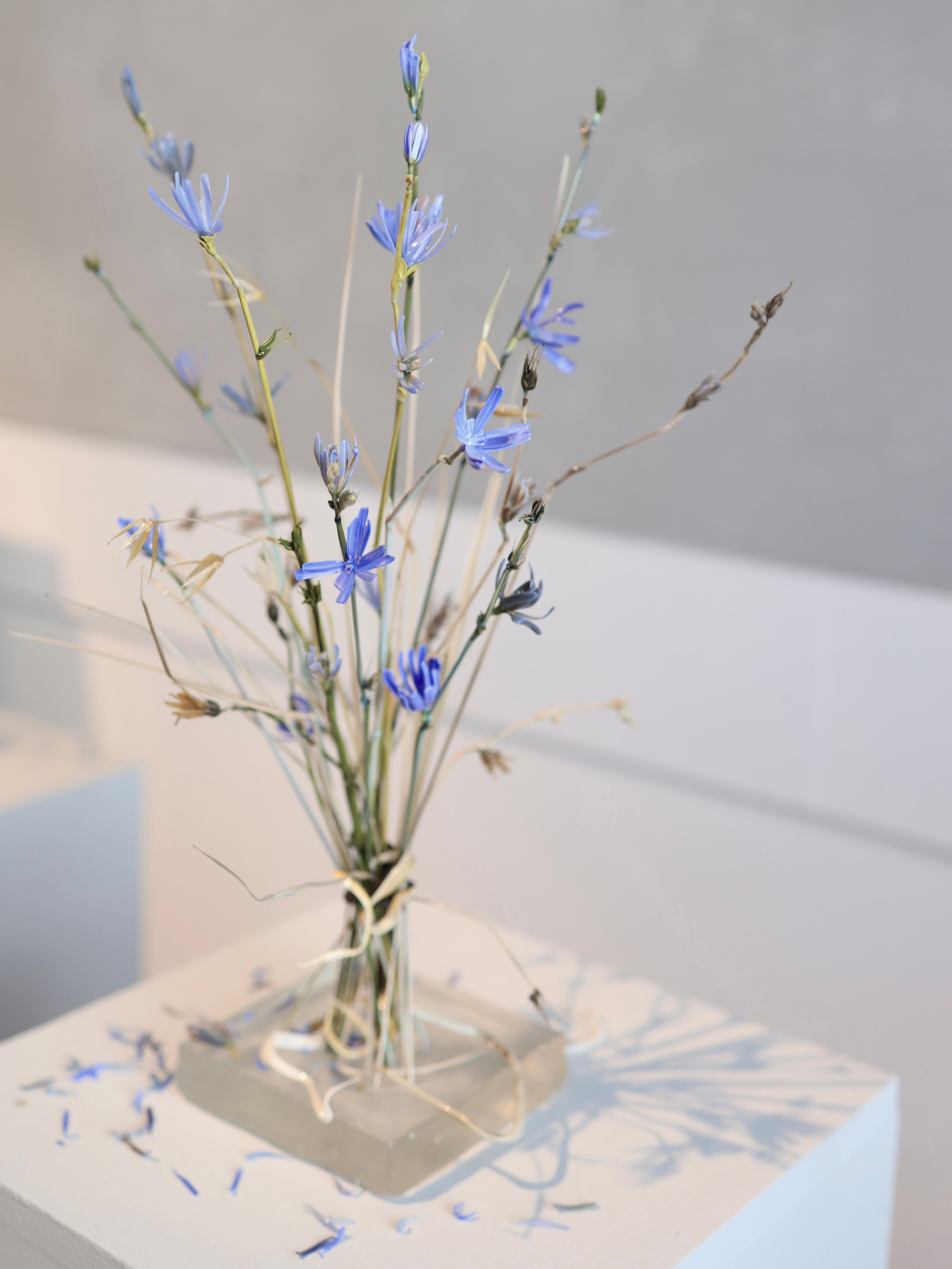 Выставка Степени прозрачности. Фотосессии и репортаж — Фотограф в Москве — Рина Серёгина