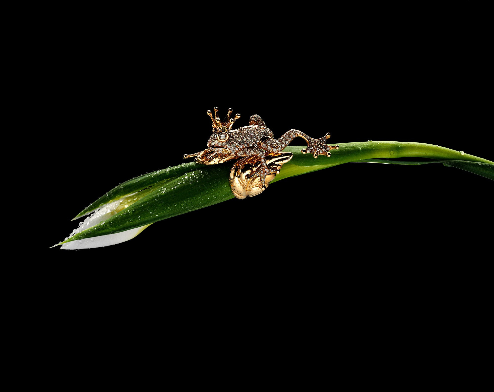 ЮВЕЛИРНОЕ, ЧАСЫ. Фотостудия Игоря Сахарова (Санкт-Петербург)