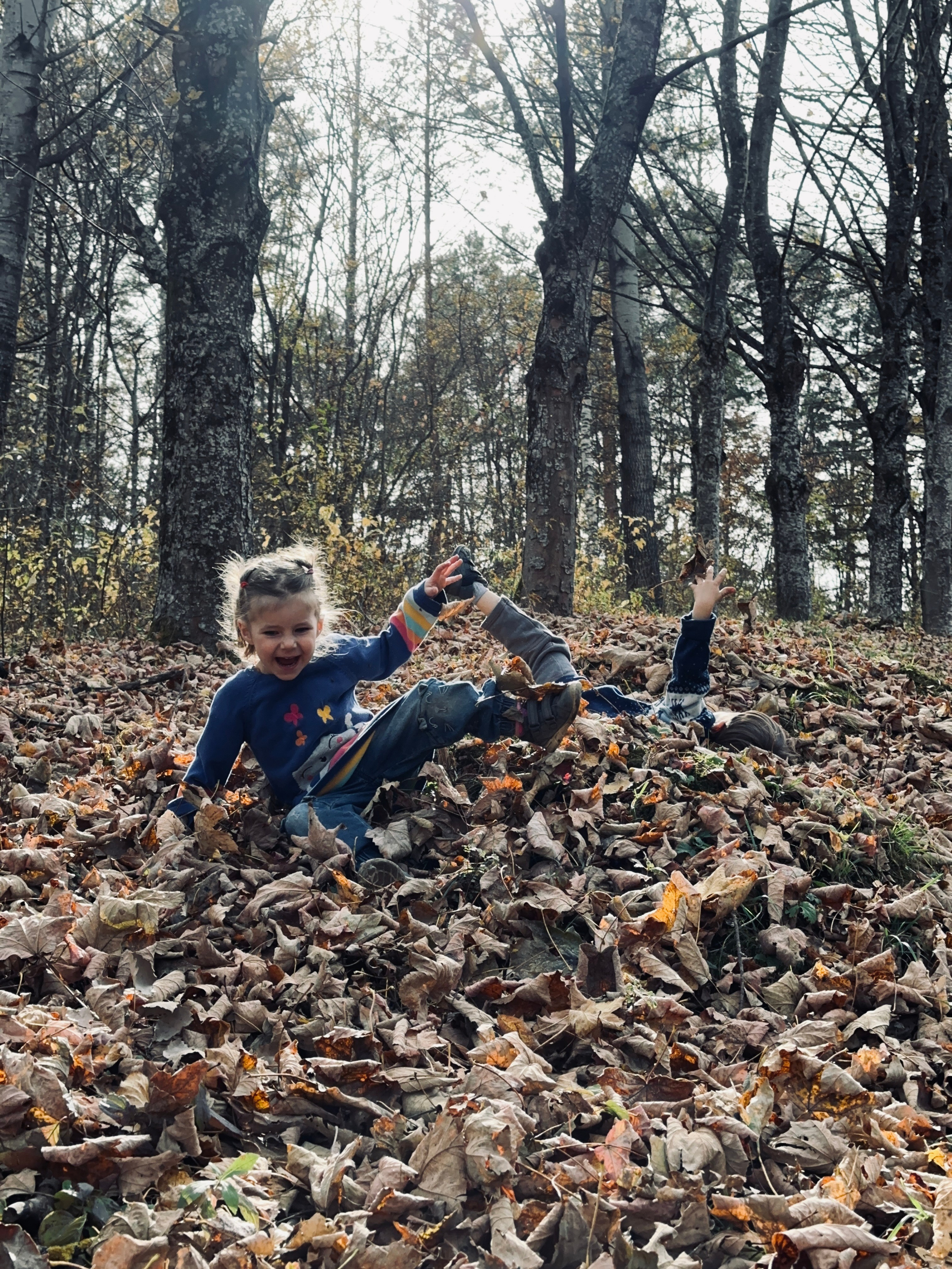 Дети. Смотри, красота!