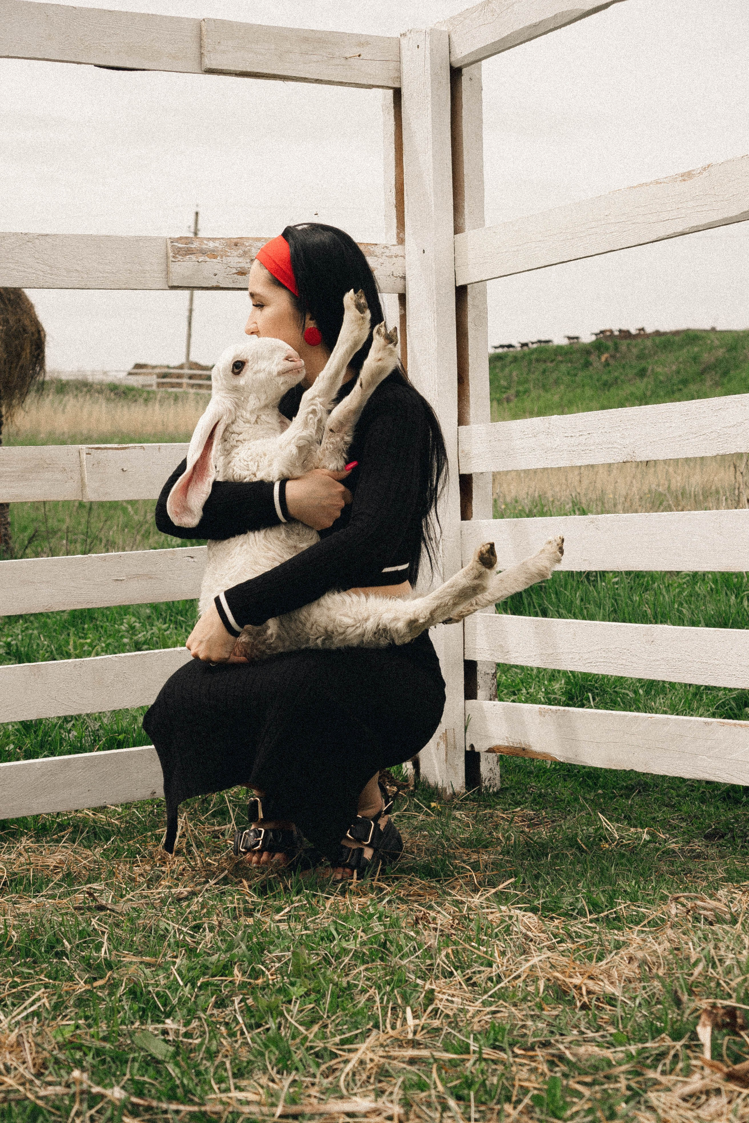 Ферма Альпак. Профессиональный фотограф, Санкт-Петербург — Виктория Богомолова