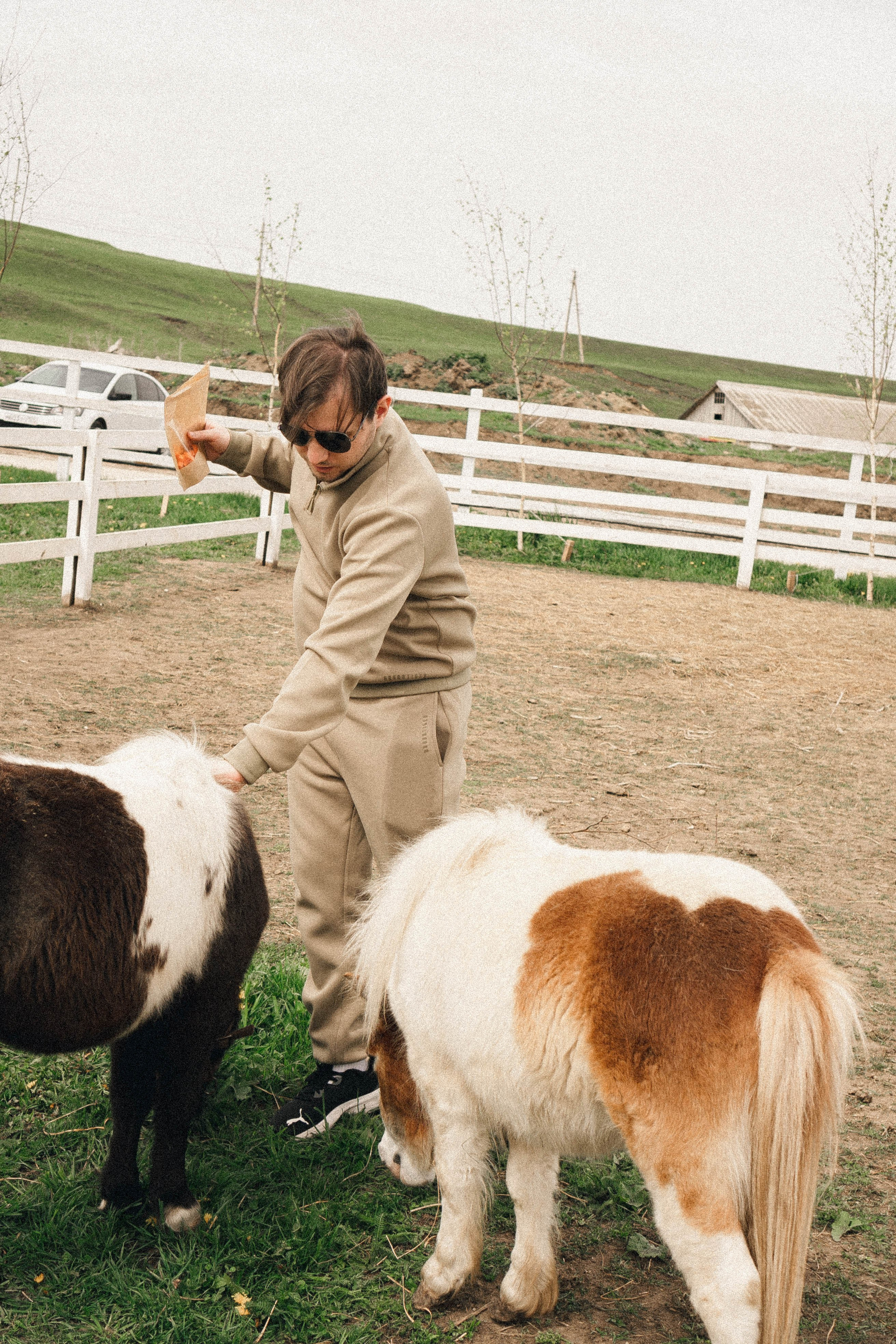 Ферма Альпак. Профессиональный фотограф, Санкт-Петербург — Виктория Богомолова