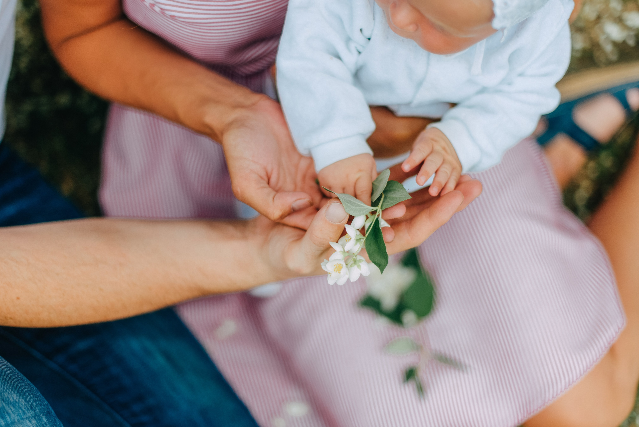 НАСТЯ, СЕРЕЖА И ТАСЯ. Шашкова Вероника / Свадебный и семейный фотограф Москва и Ярославль