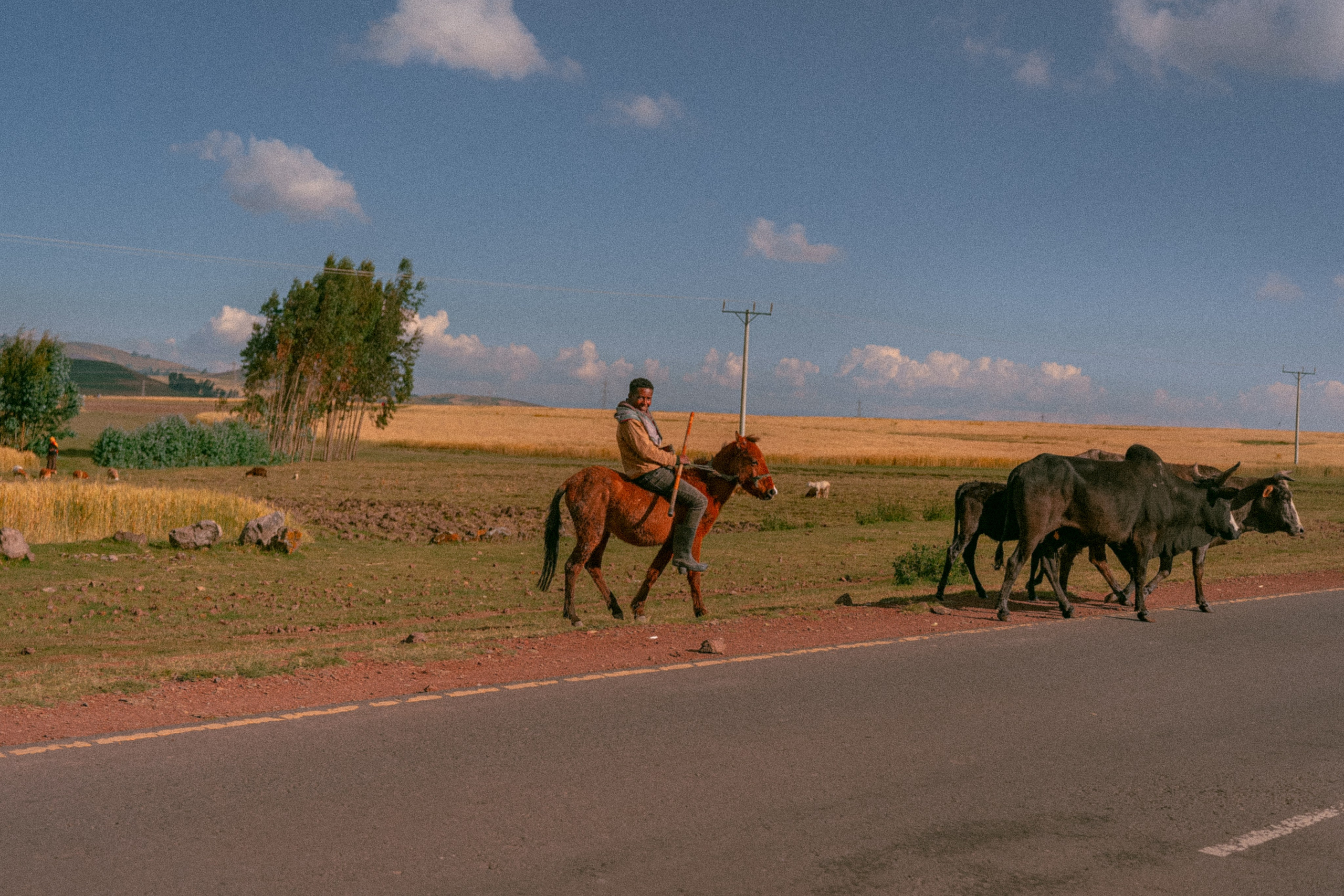 Сельское хозяйство эфиопии