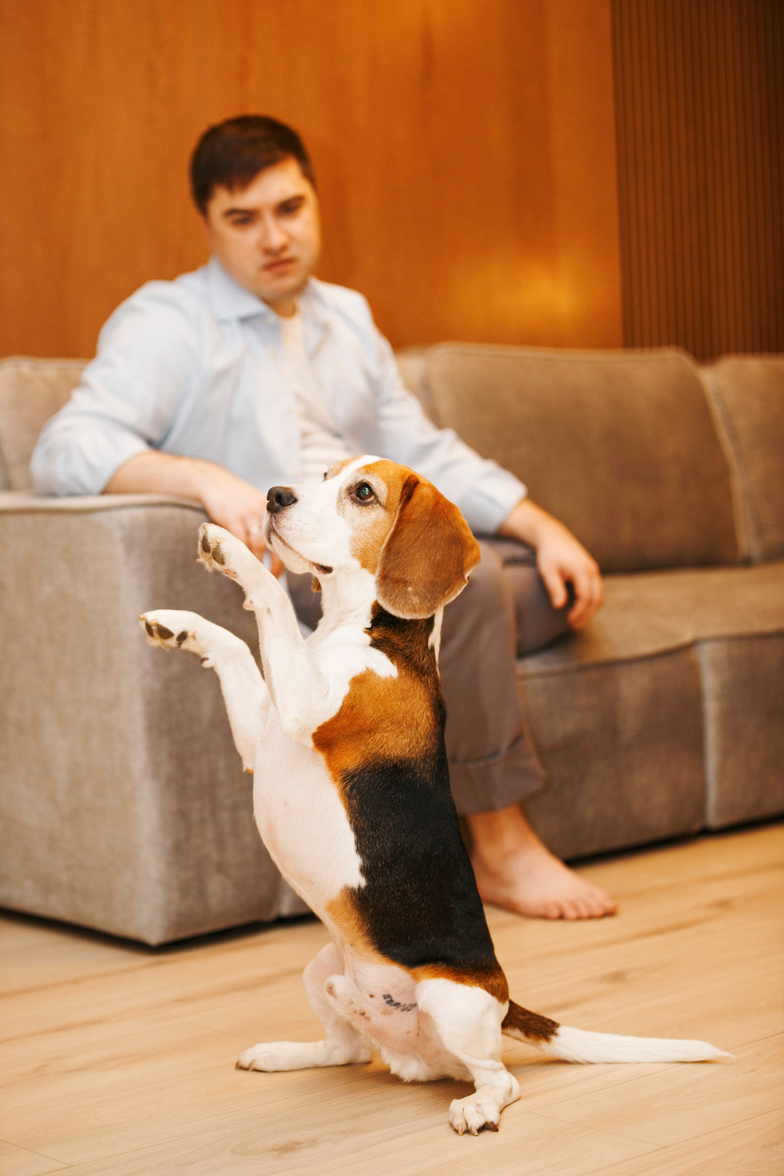 Дома. Photographer in Montenegro Tatiana Talaeva