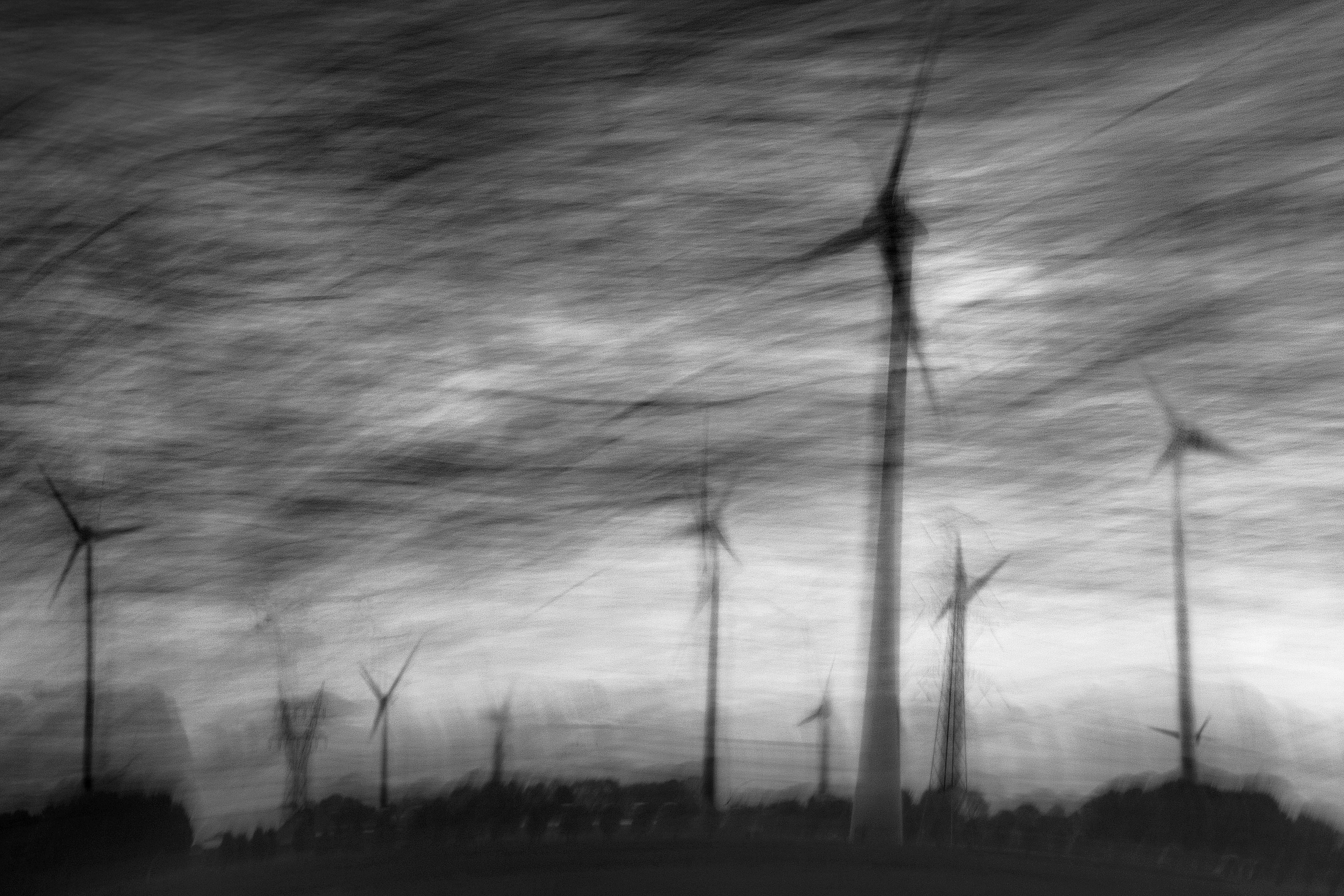 Фото. Фотограф Лагутин Анатолий