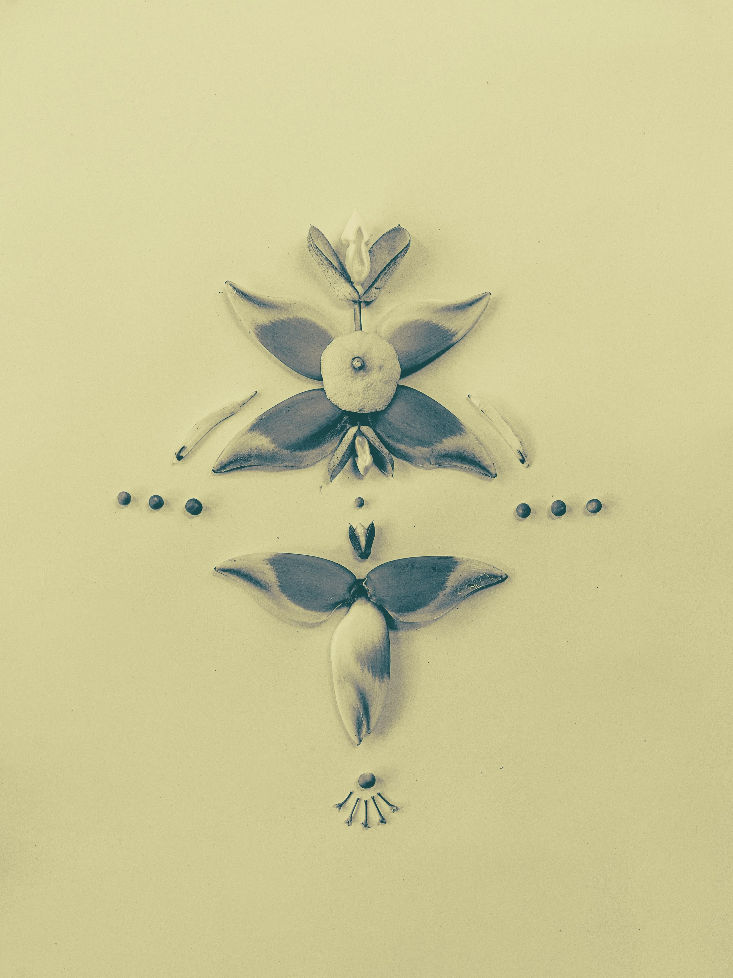 LAYER OF PETALS. Сocoobird || Атмосфера твоего бренда в снимках и видео