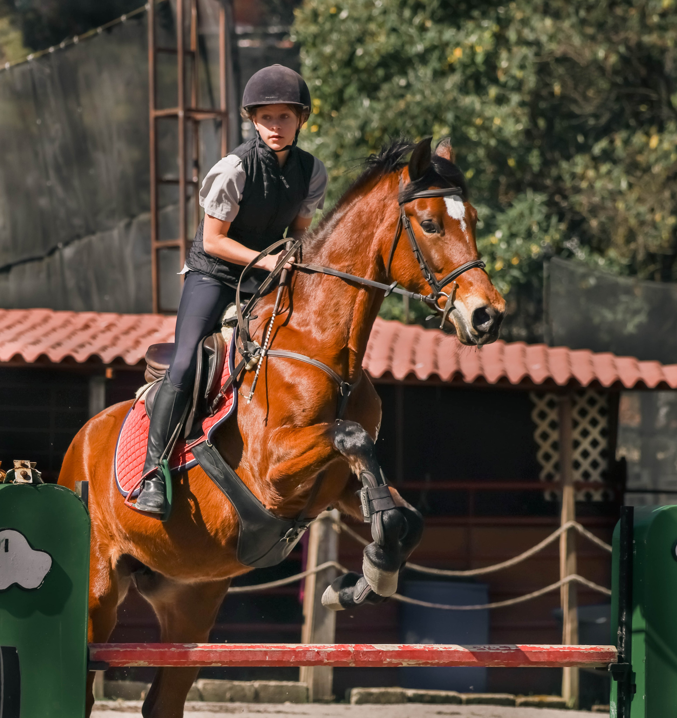 Лошади. Kateserbina