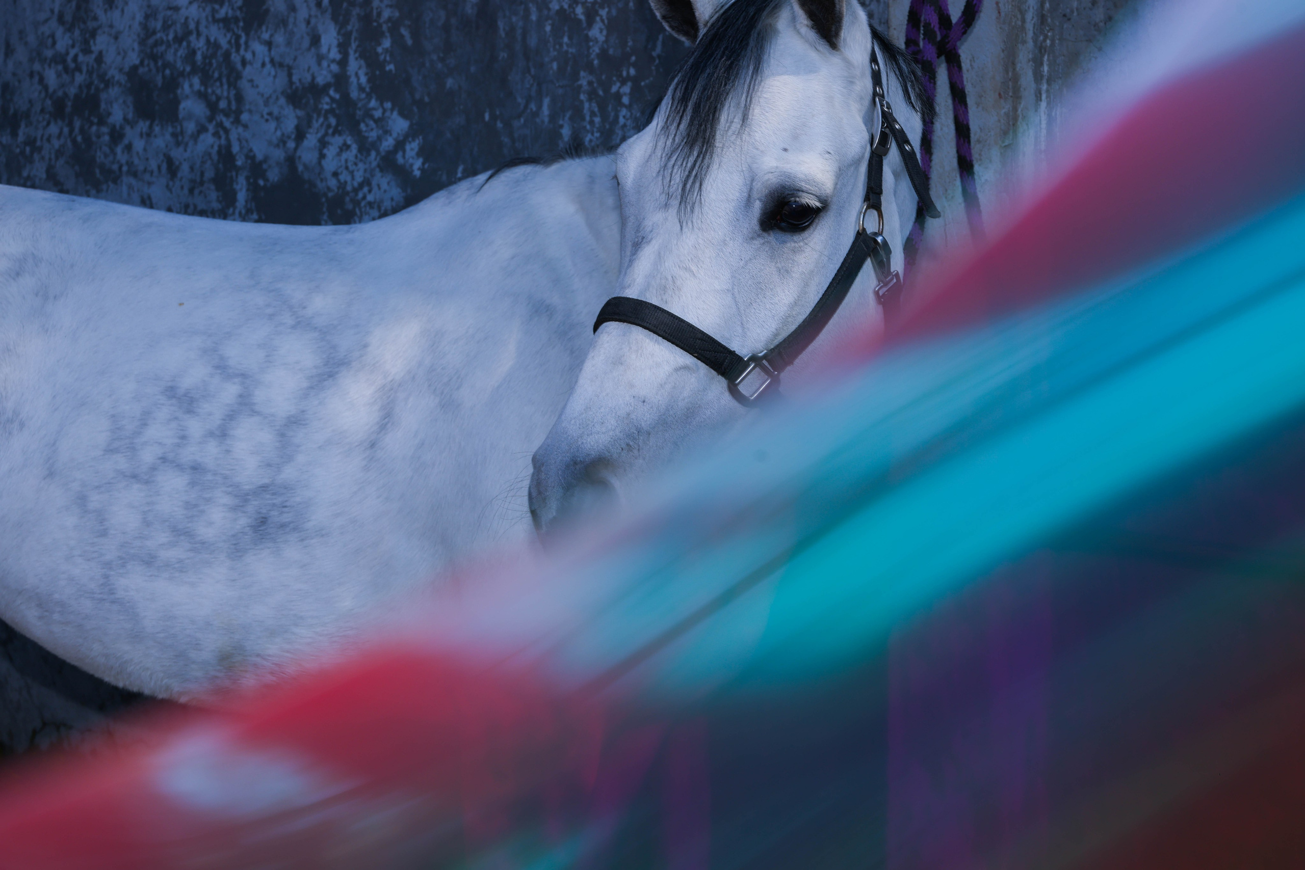 Фотохронотоп детства. Kateserbina