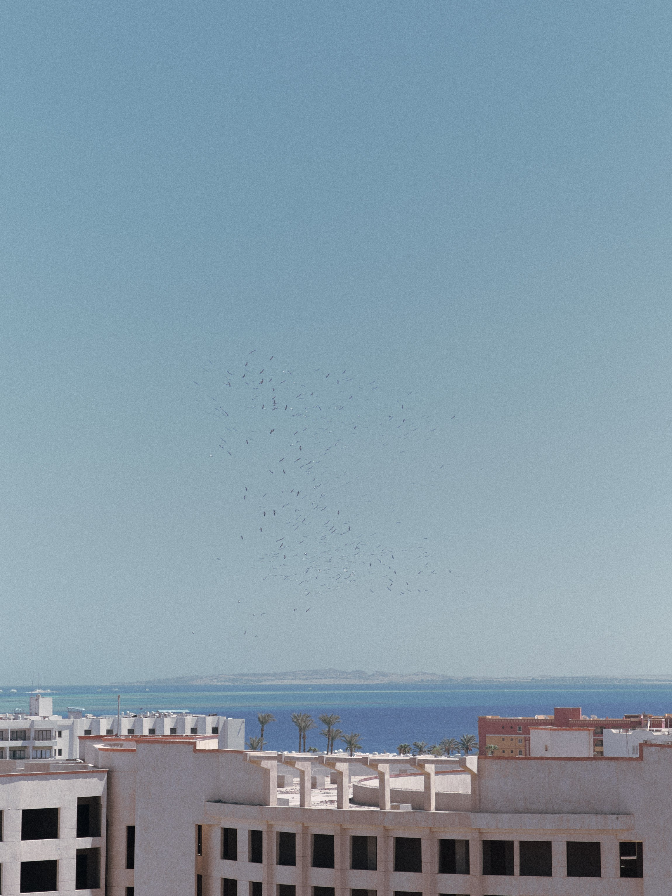 Диптих. Jorgis — фотограф в Хургаде / обучение фотографии