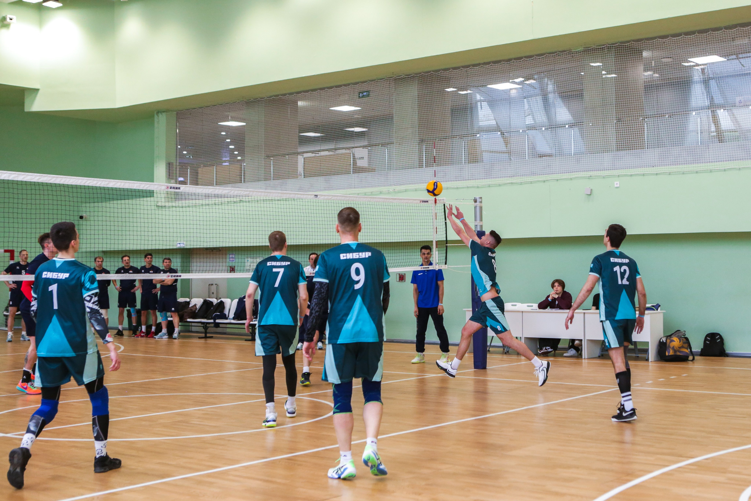 Волейбол. Репортажный, семейный, свадебный, портретный фотограф