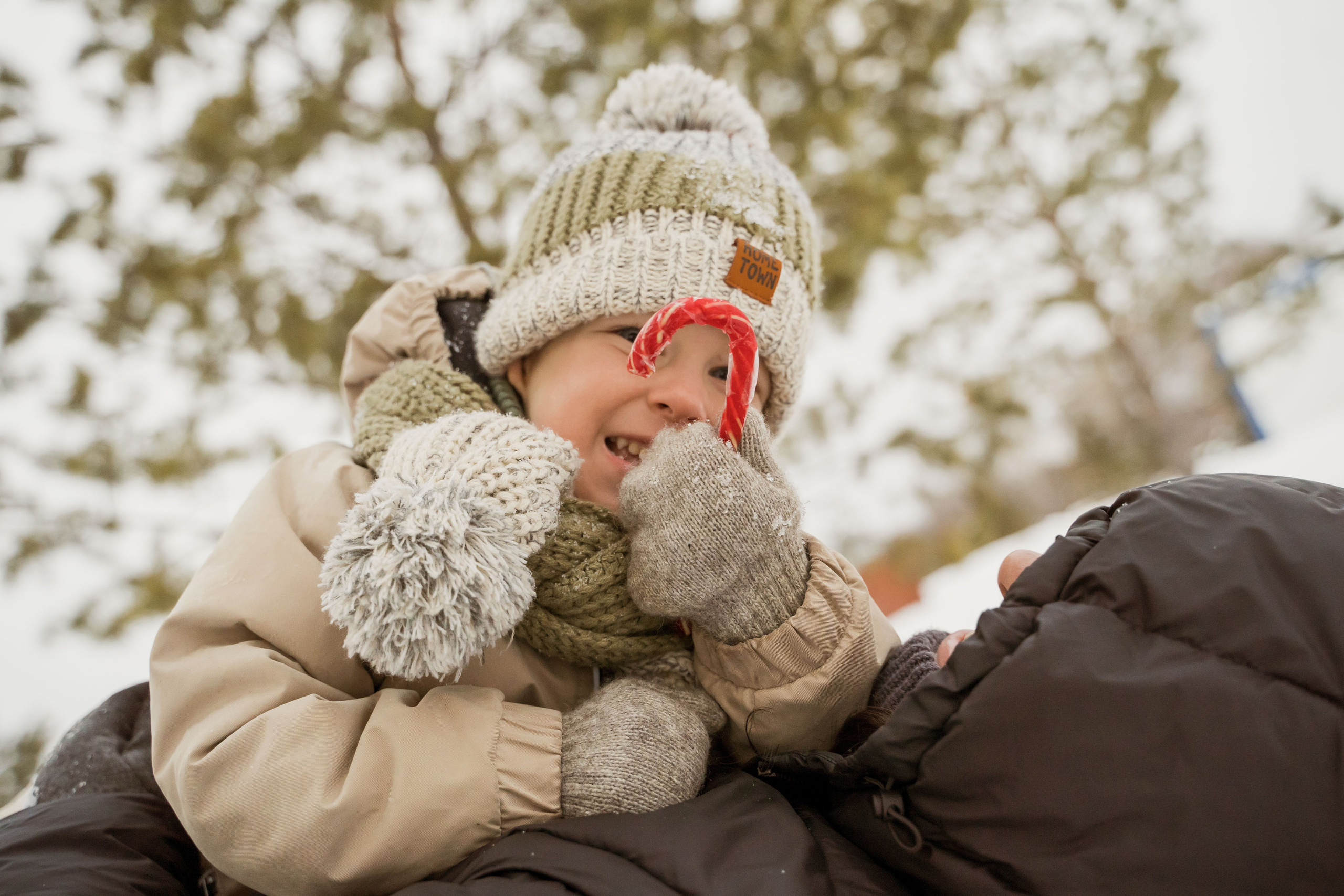 Зимняя прогулка. Главная