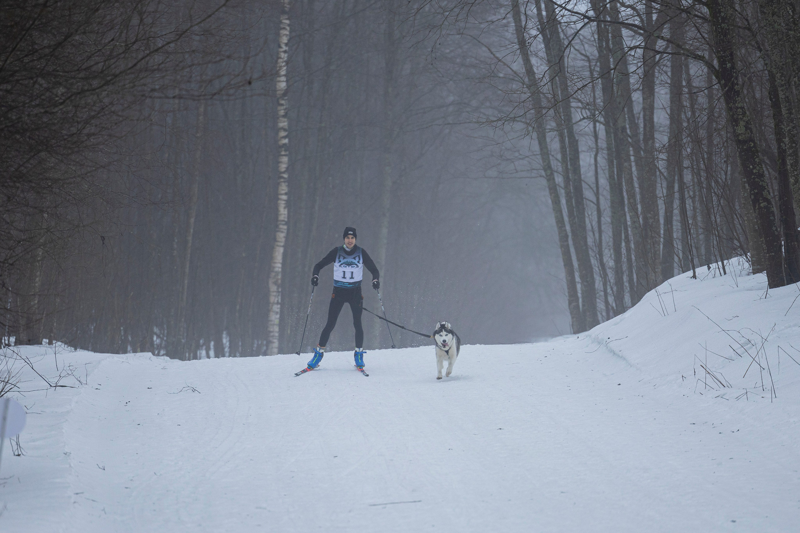 Зимний Чемпионат Санкт-Петербурга по ездовому спорту. Фотограф-анималист Анна Маринич