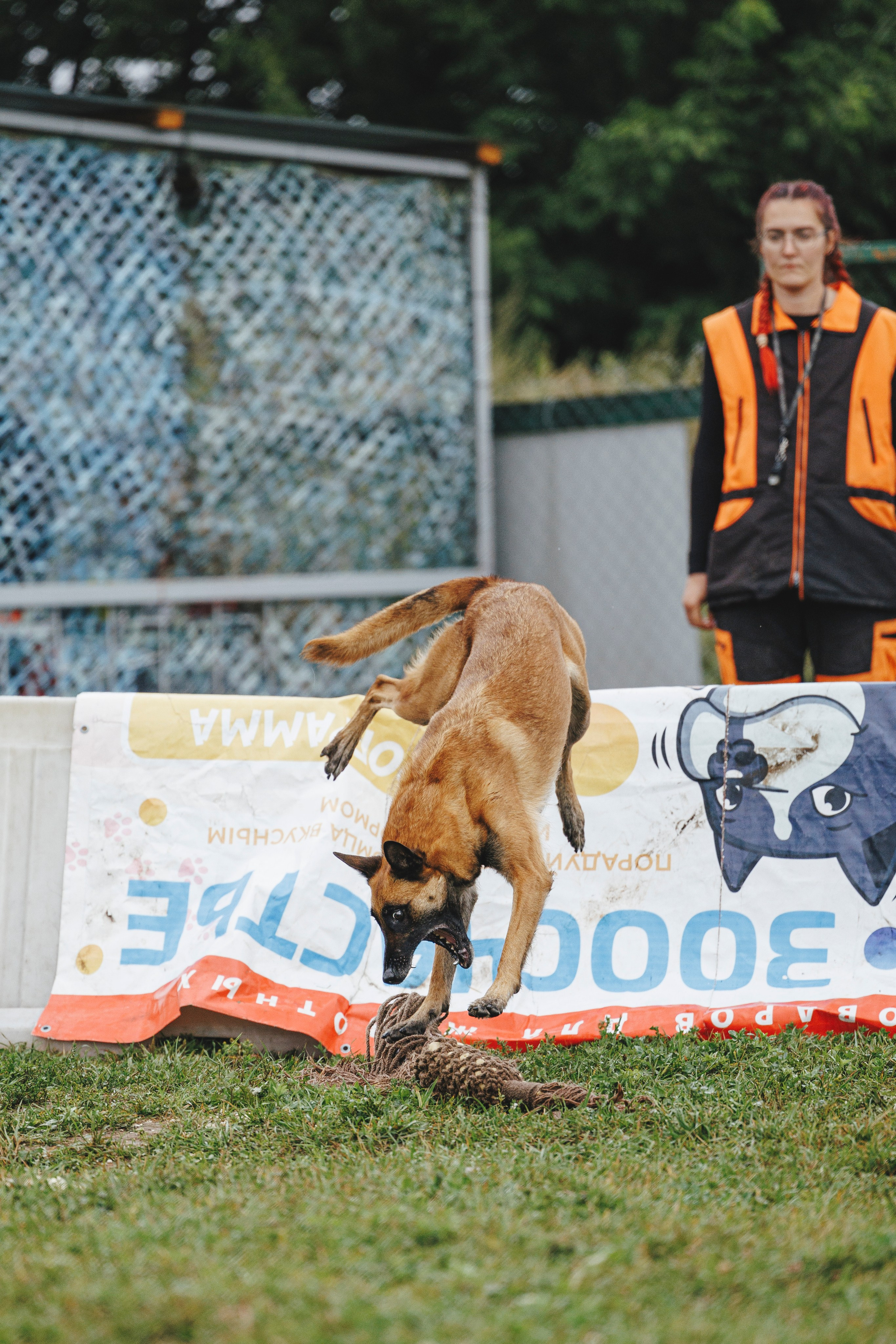 08.08.25-10.08.25 ЧР по мондьорингу г. Вологда. Фотограф-анималист Анна Маринич