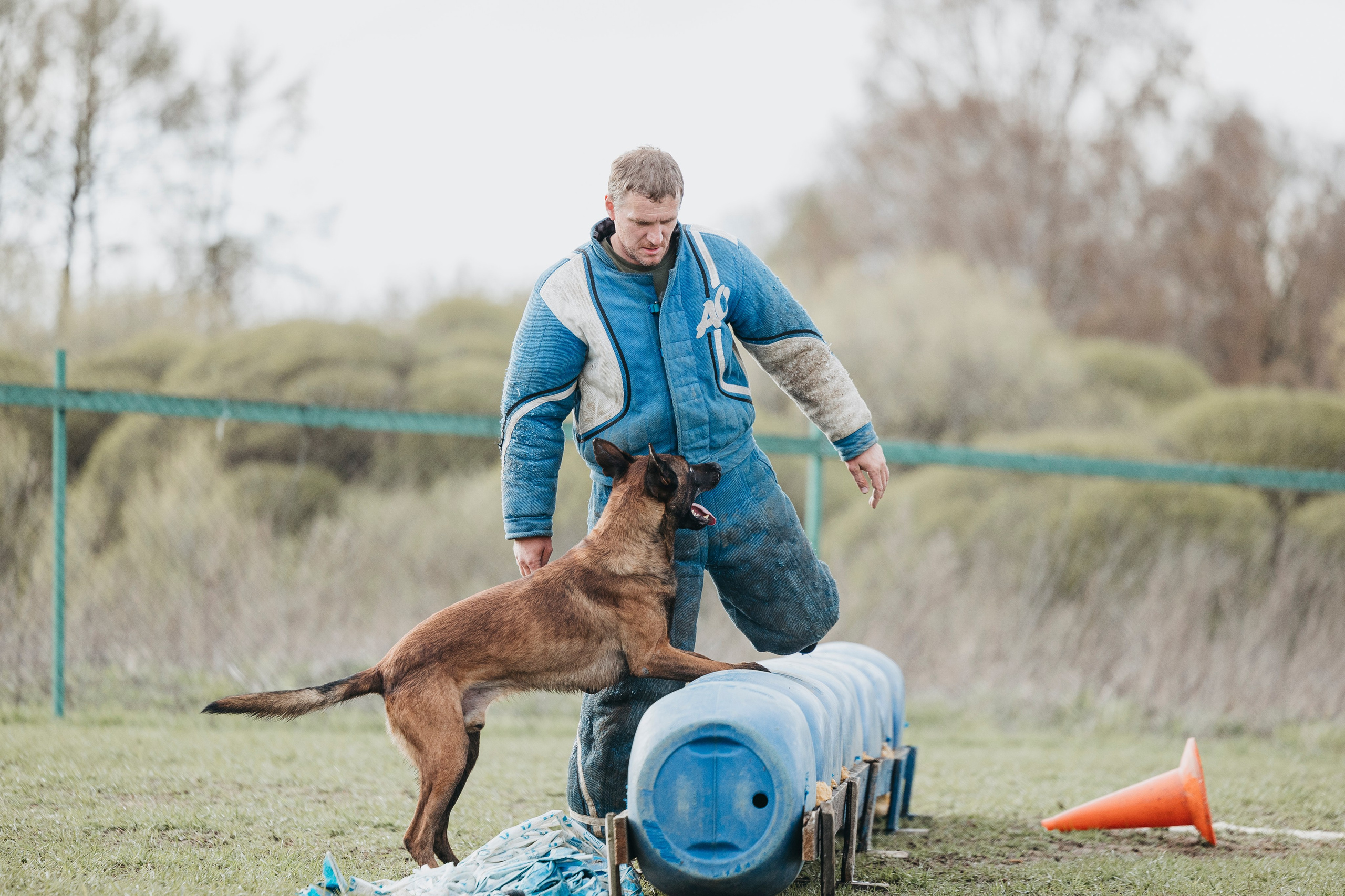 09.05.25 Вологда соревнования. Фотограф-анималист Анна Маринич