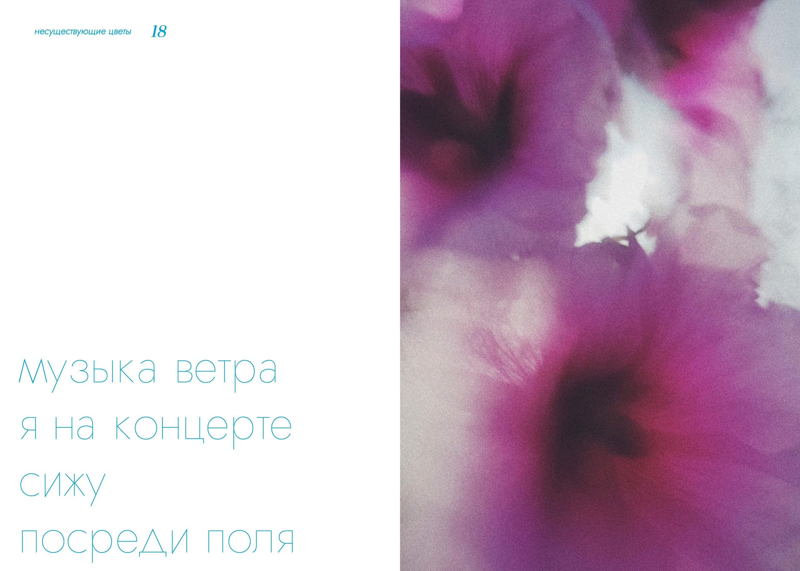 BOOK ART. Фотограф Евгений Чащихин RGB АРХИТЕКТОР в Перми