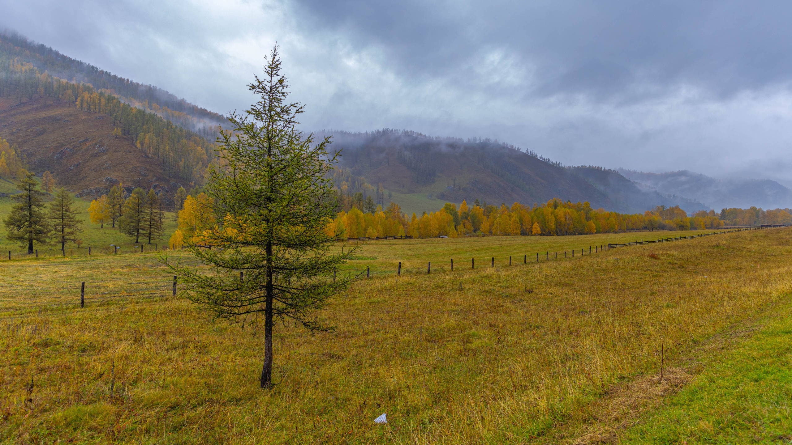 2025 09 Алтай. Чуйский тракт. Фотографии