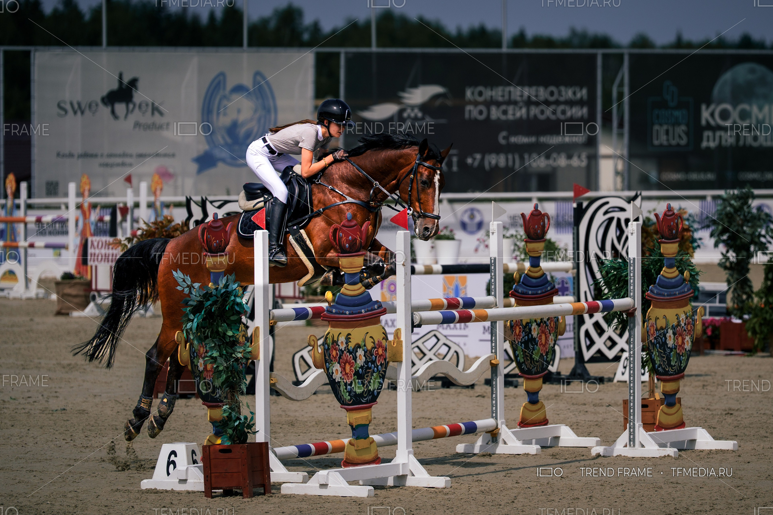 Евразийские Игры 2025, Maxima Park — конный спорт