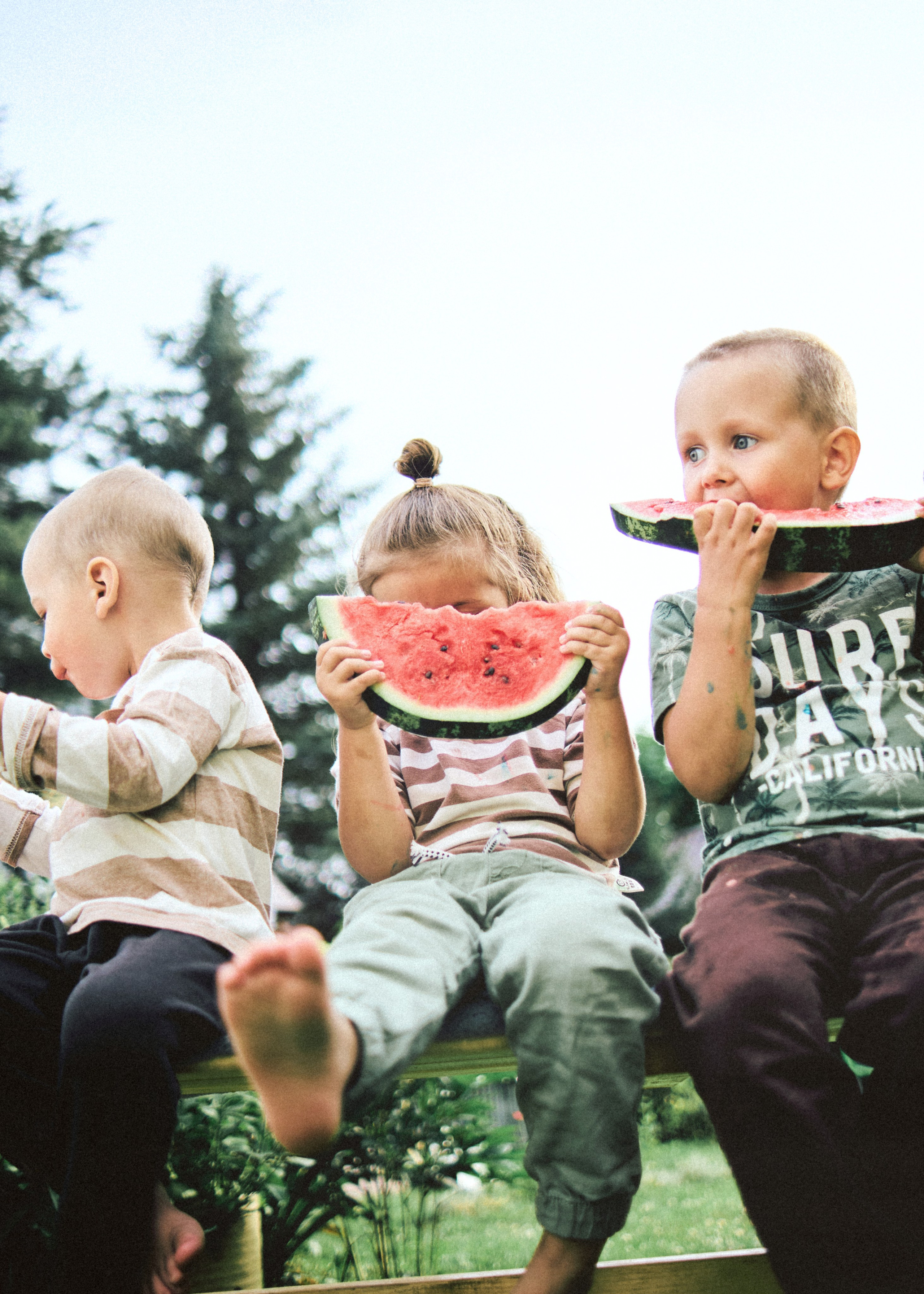 Банда. SHILOVA PHOTO. Шилова Екатерина. Фотограф. Москва