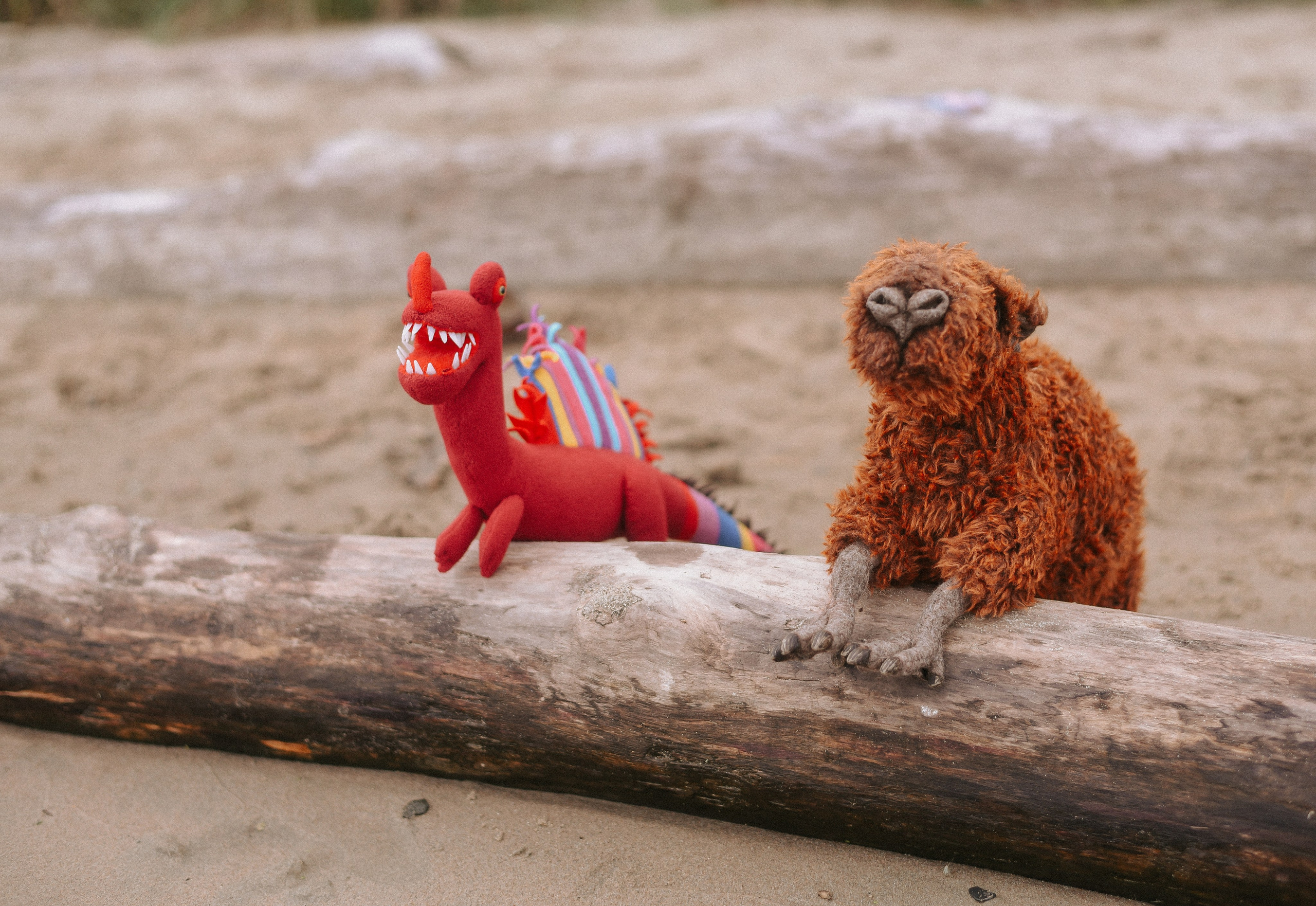 Берег, рак и капибара. Детский и семейный фотограф в Новосибирске Саша Дорошенко